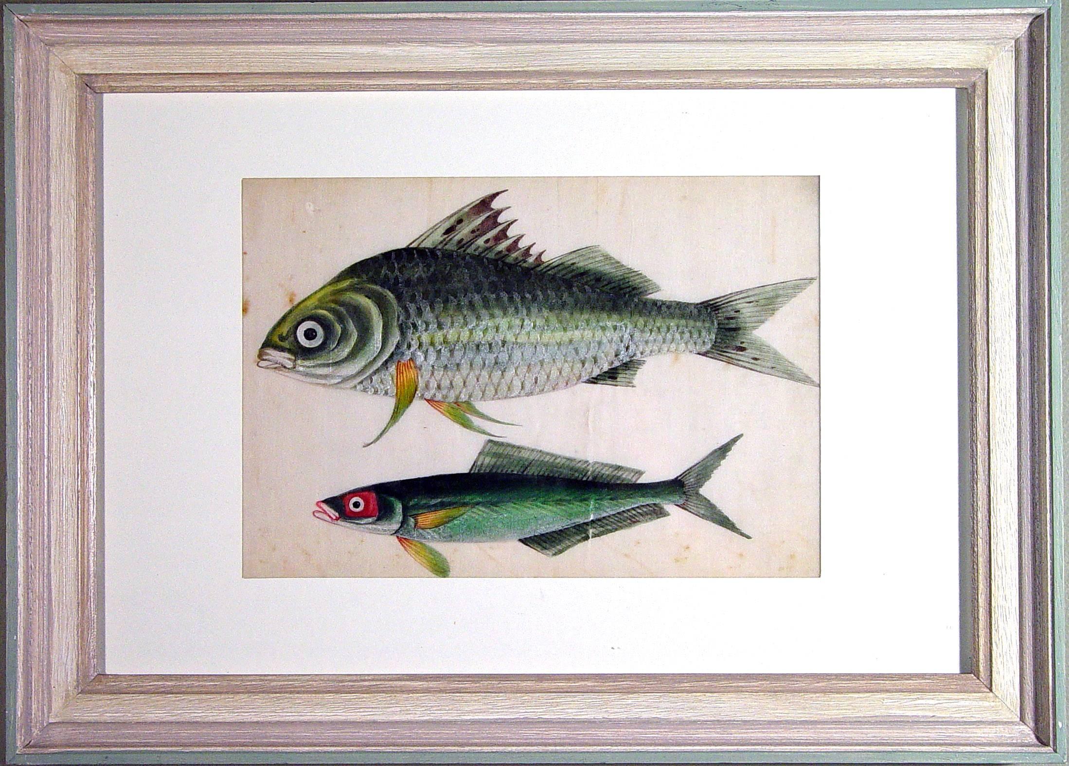 Chinese Watercolours of Fish in a set of nine on Pith Paper 1