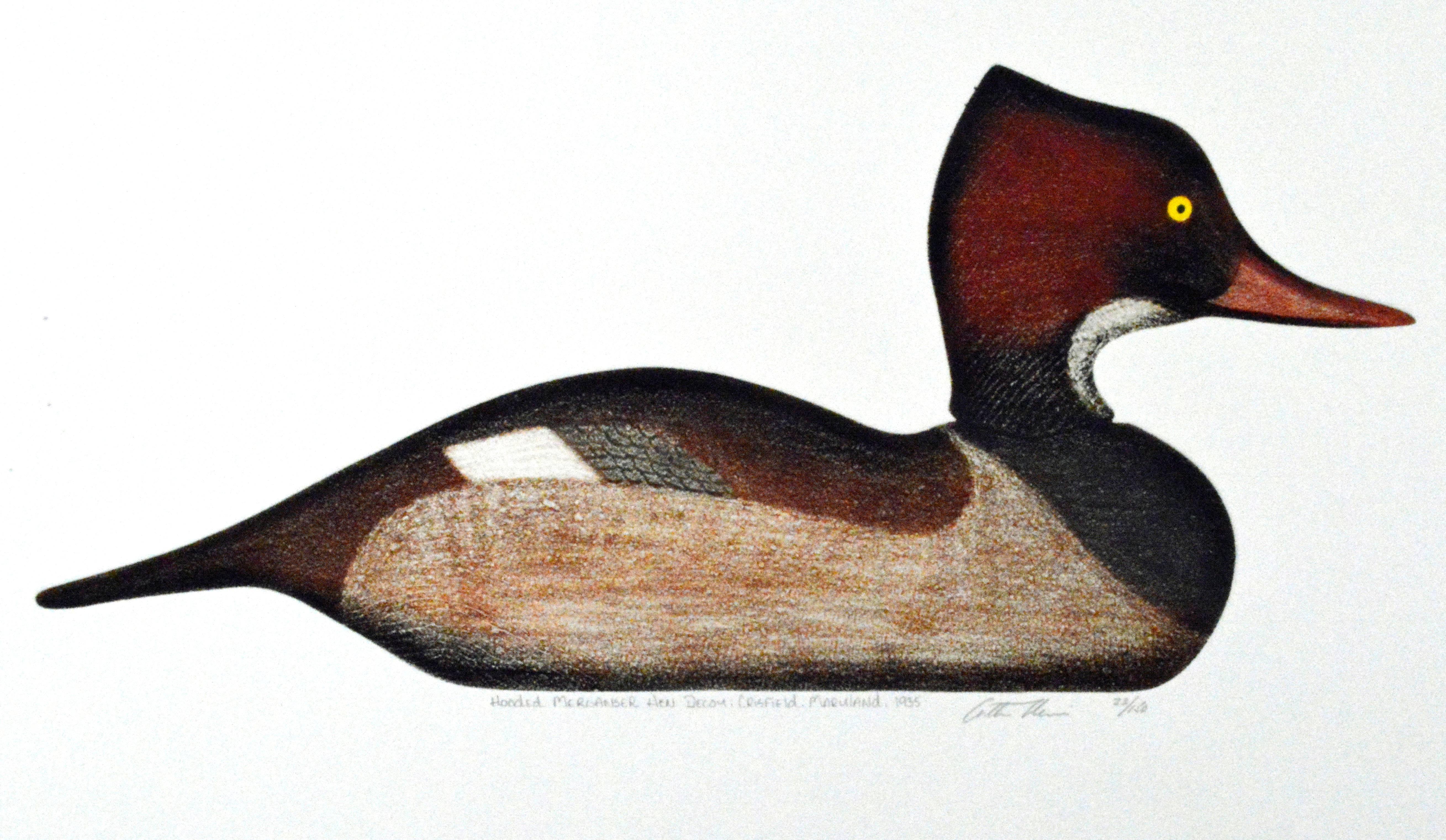 The large 1970s print by Arthus Nevin depicts a Red-Breasted Merganser Bird Decoy.

It is inscribed Red-Breasted Merganser Beach Haven, NJ., 1935.
102/150.
  
The glass is UV Plexi protected.