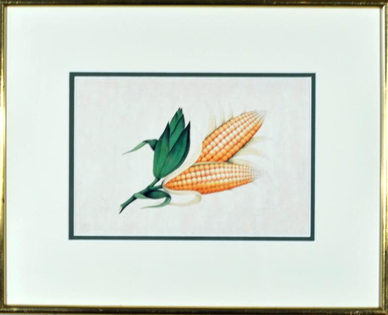 Painted Chinese Watercolors of Exotic Fruit on Pith Paper For Sale
