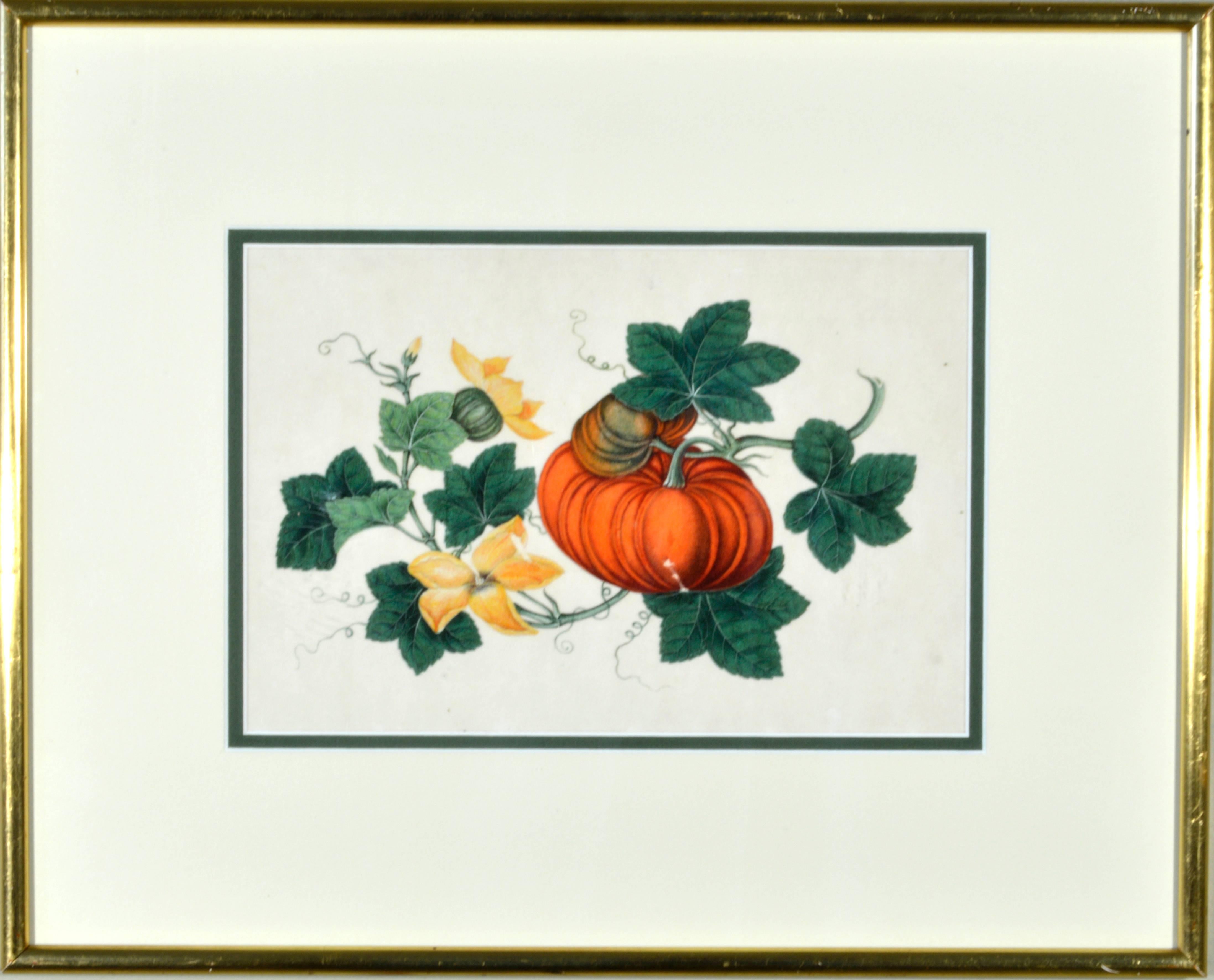 Painted Chinese Watercolors of Exotic Fruit on Pith Paper- A Set of Eight For Sale