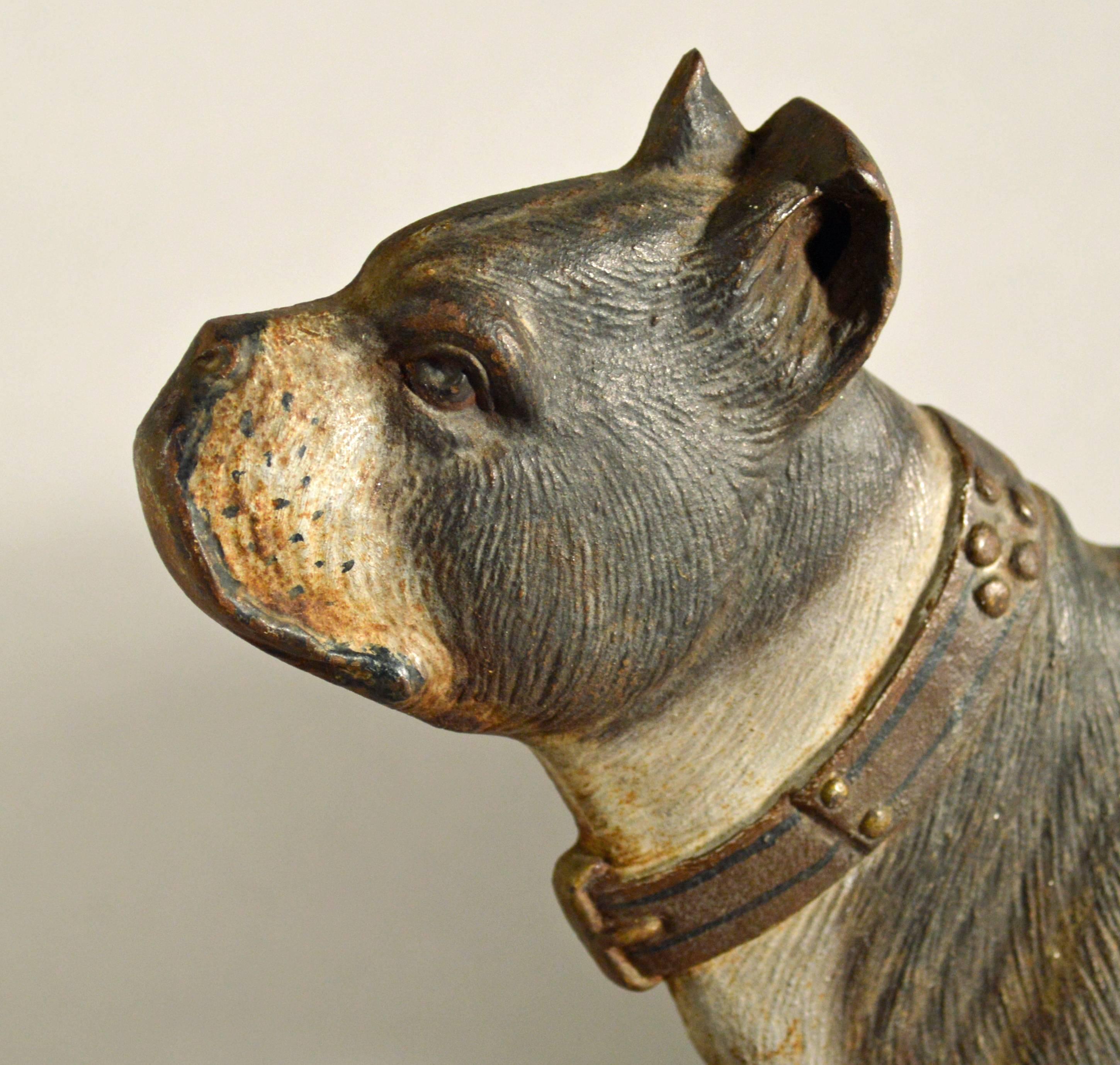 Le terrier de Boston a été fabriqué en fonte par Bradley and Hubbard Co. Meriden CT dans les années 1920

Modèle #7294-N. 

Une forme creuse demi-ronde finement modelée et peinte en brun naturel.

Voir : 
The Doorstop Book, John et Nancy