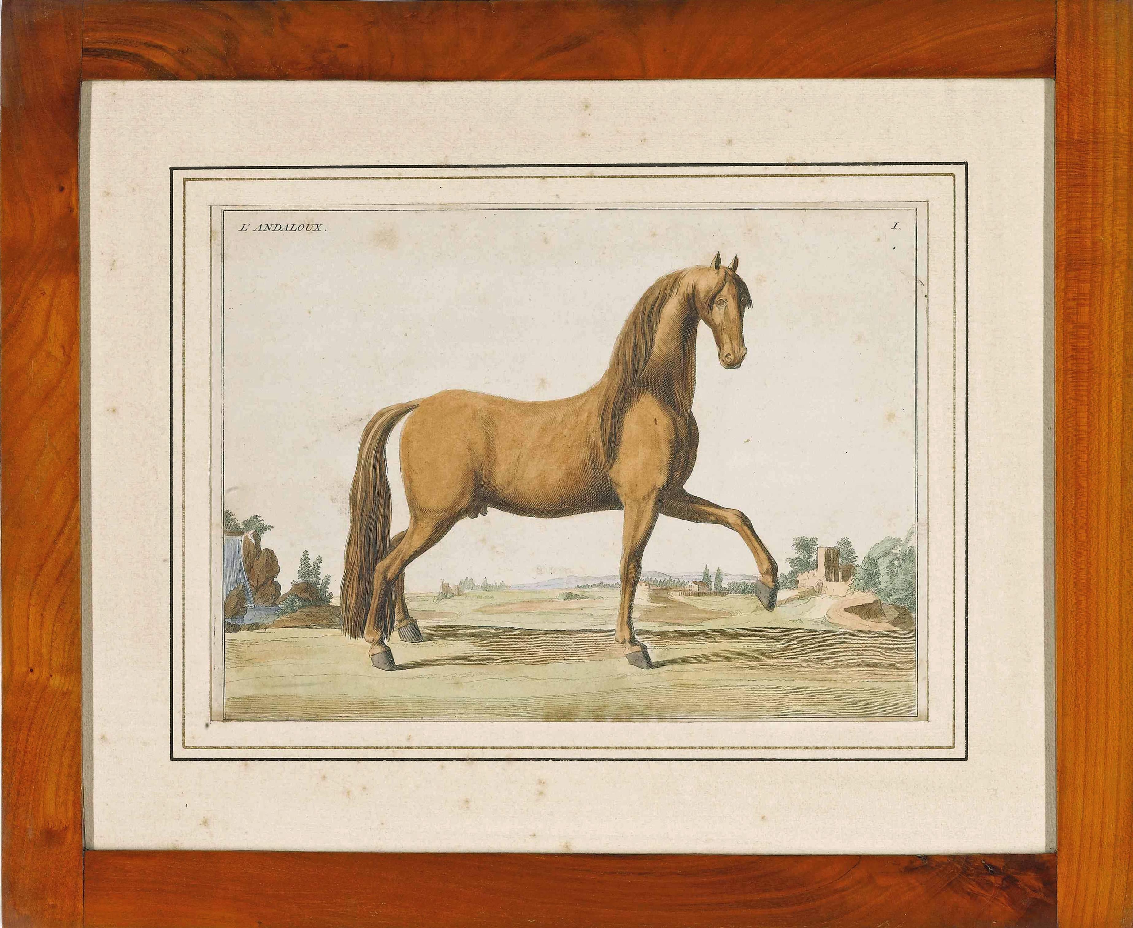 Georgien Paire de gravures de chevaux du 18e siècle en vente