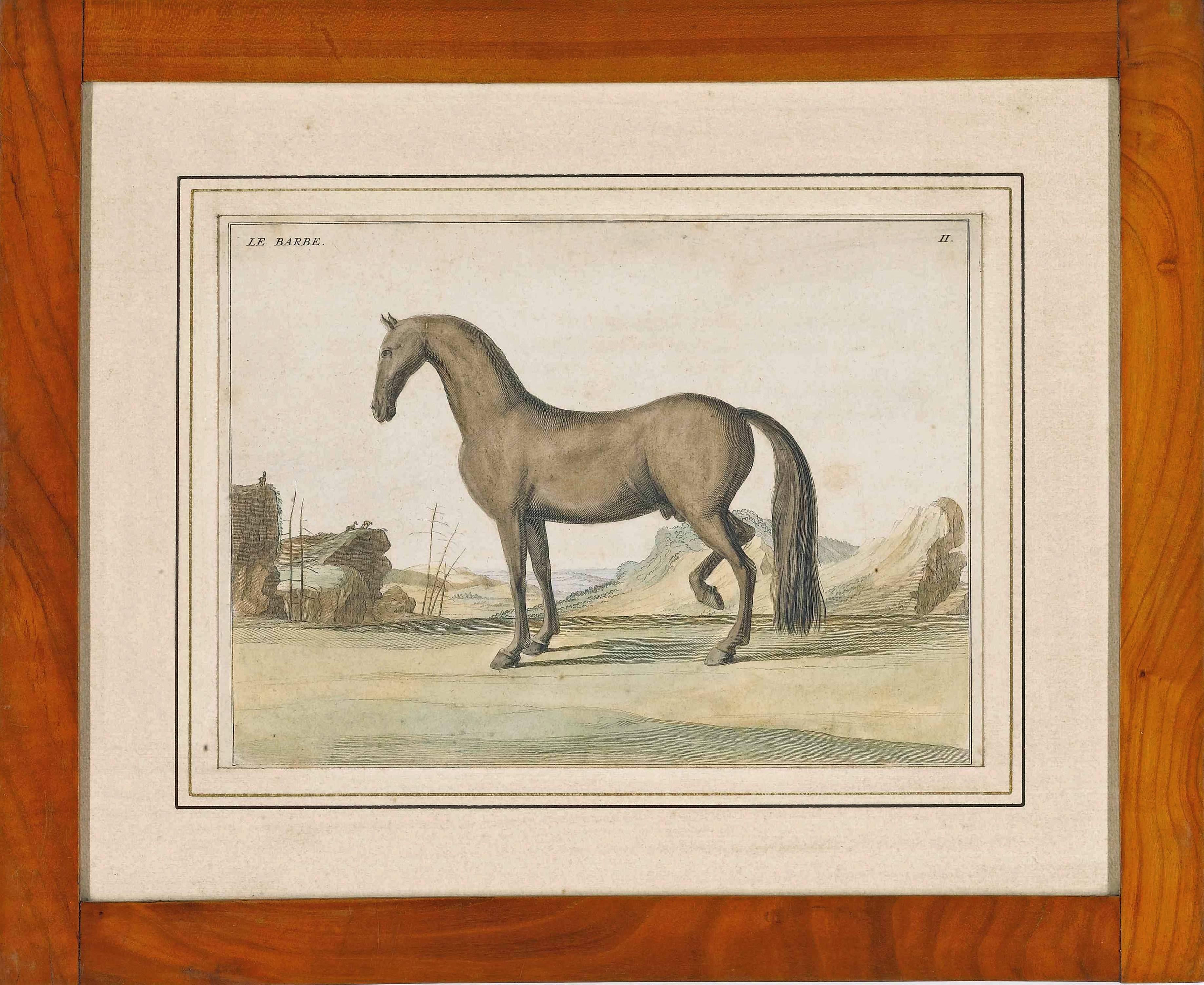 French Pair of 18th Century Engravings of Horses For Sale