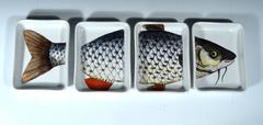 Rare Piero Fornasetti Fish Appetizer Tray, Pisces