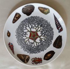 Piero Fornasetti Set of nine Plates in Early Conchiglie seashell pattern.