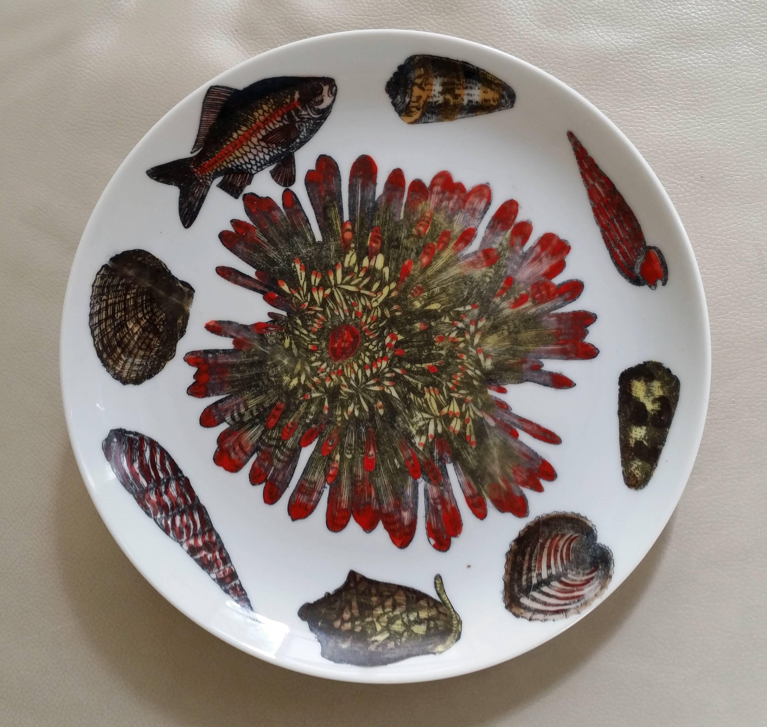 Mid-Century Modern Piero Fornasetti Set of nine Plates in Early Conchiglie seashell pattern.