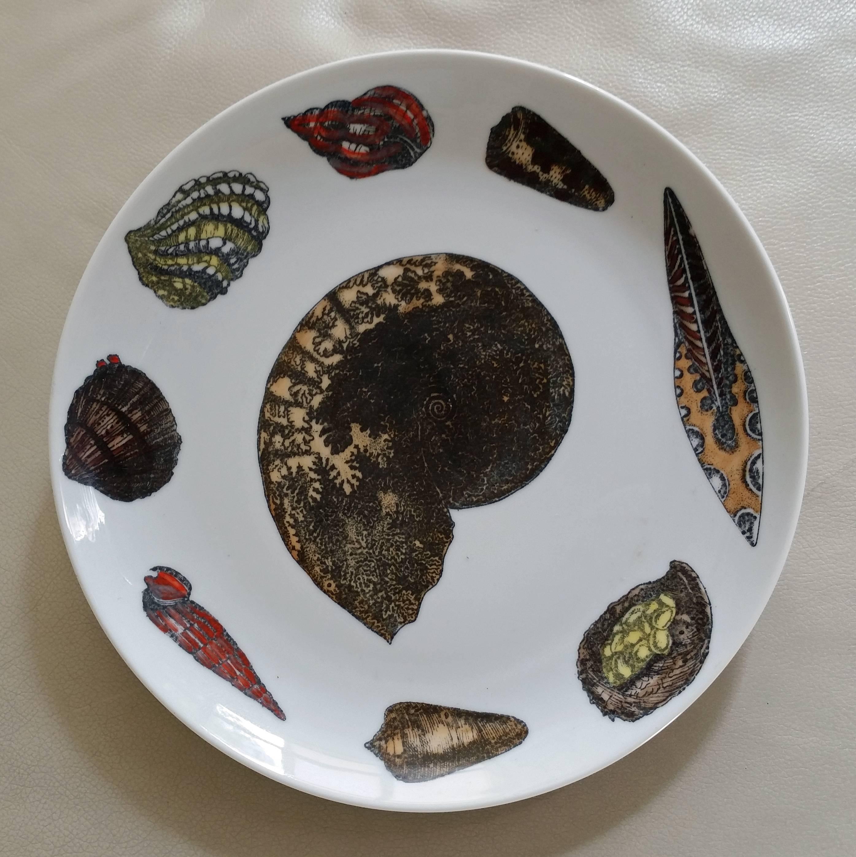 Italian Piero Fornasetti Set of nine Plates in Early Conchiglie seashell pattern.