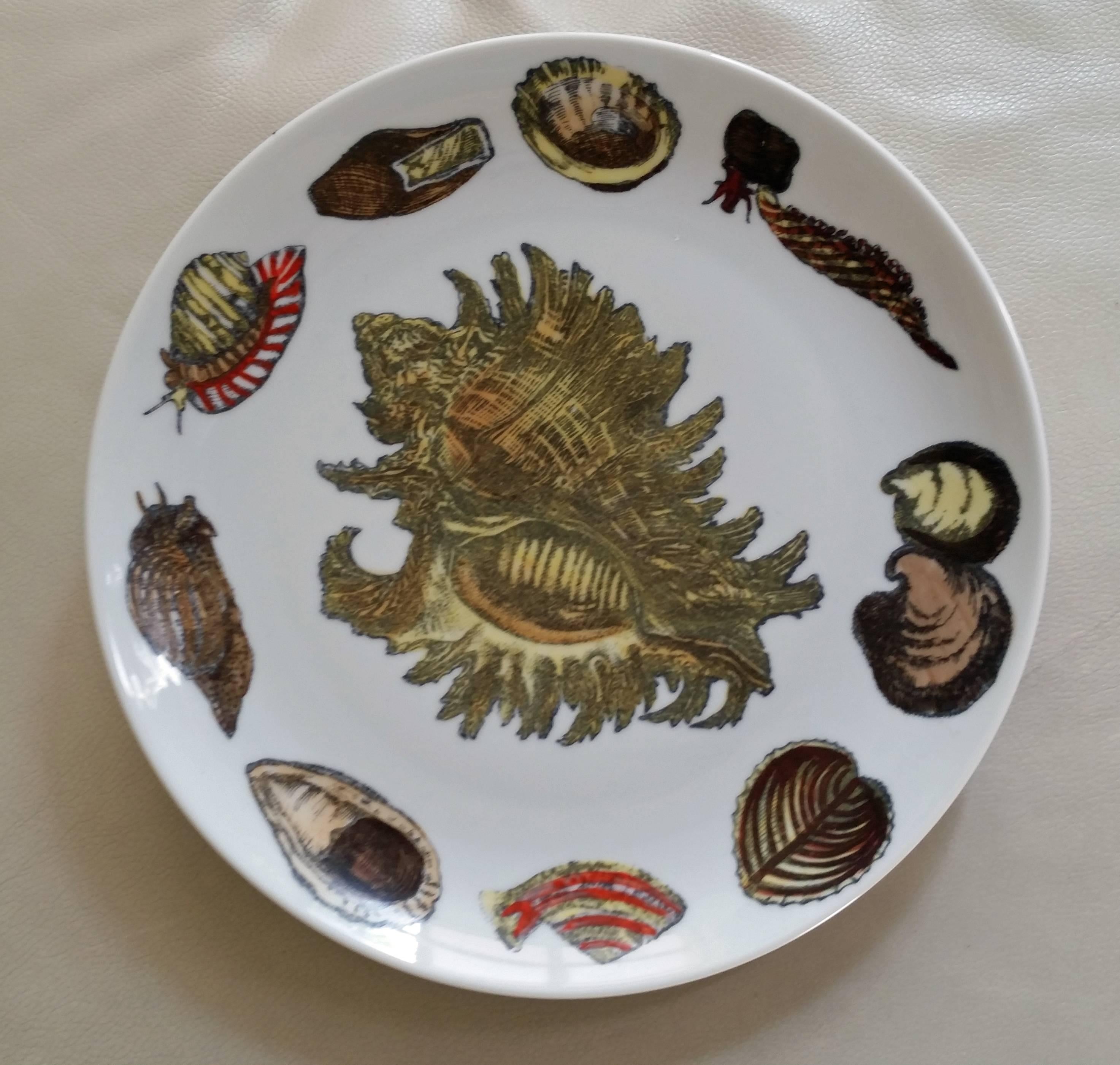 Mid-20th Century Piero Fornasetti Set of nine Plates in Early Conchiglie seashell pattern.