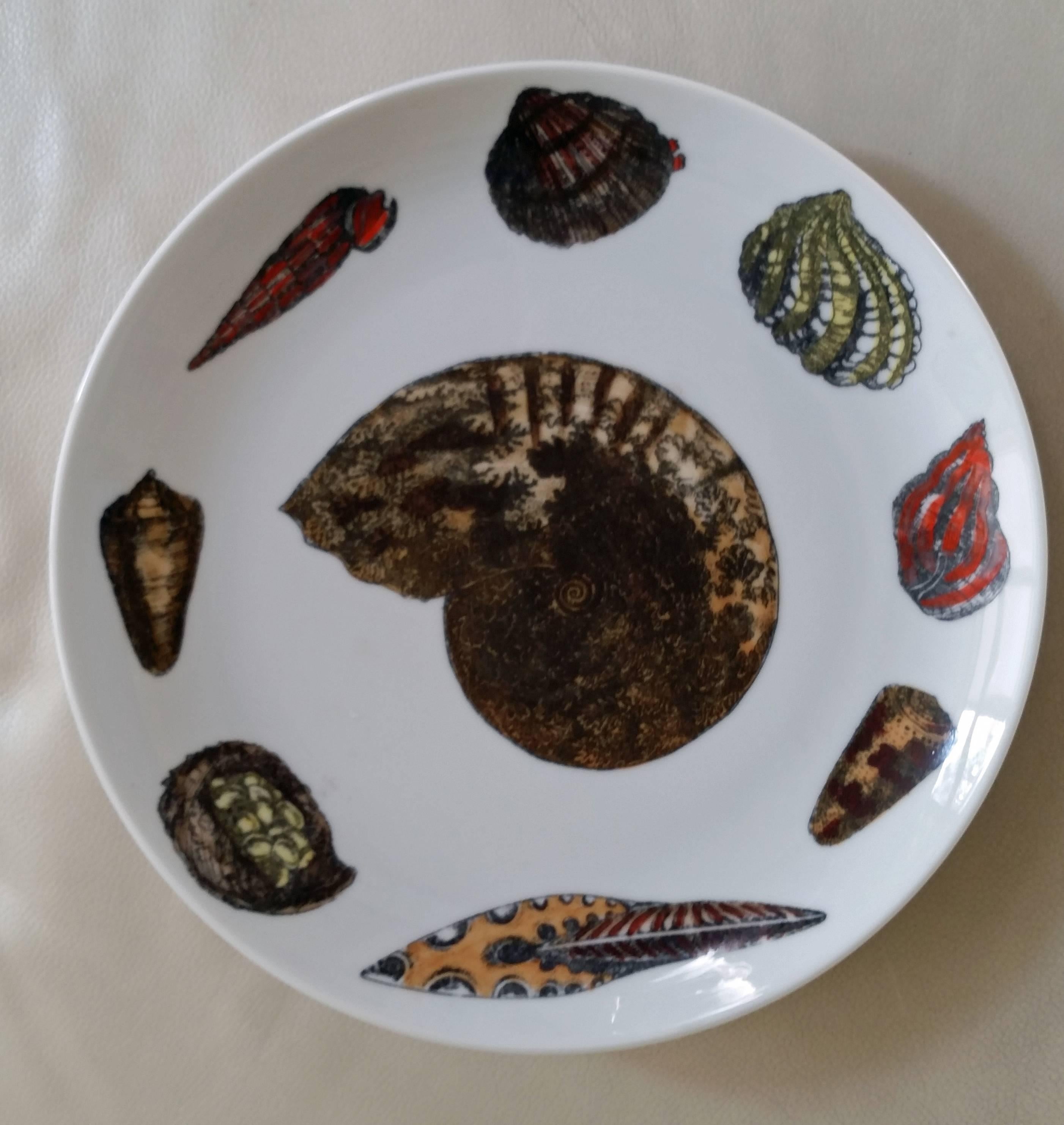 Piero Fornasetti Set of nine Plates in Early Conchiglie seashell pattern. 2