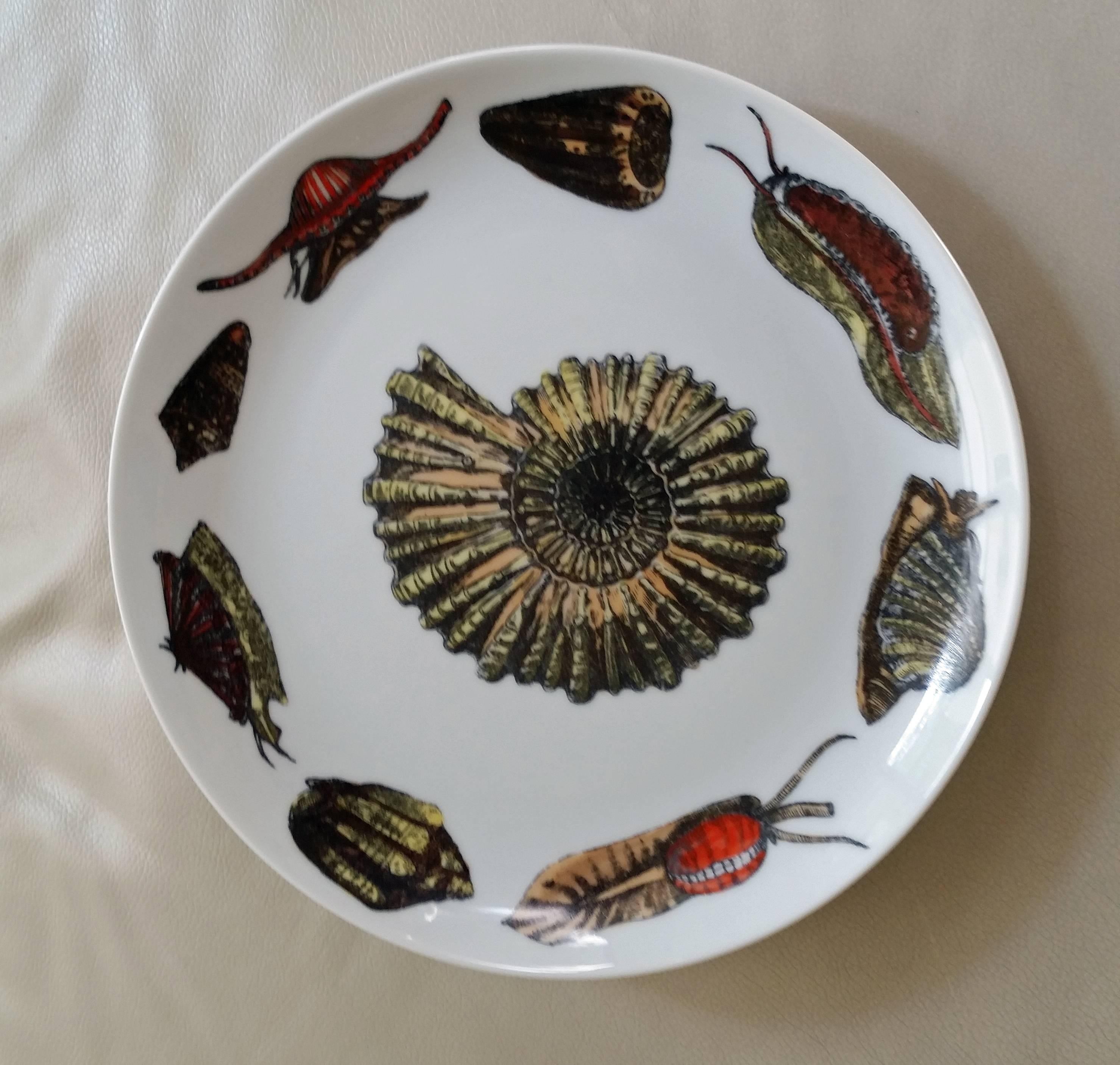 Piero Fornasetti Set of nine Plates in Early Conchiglie seashell pattern. 1
