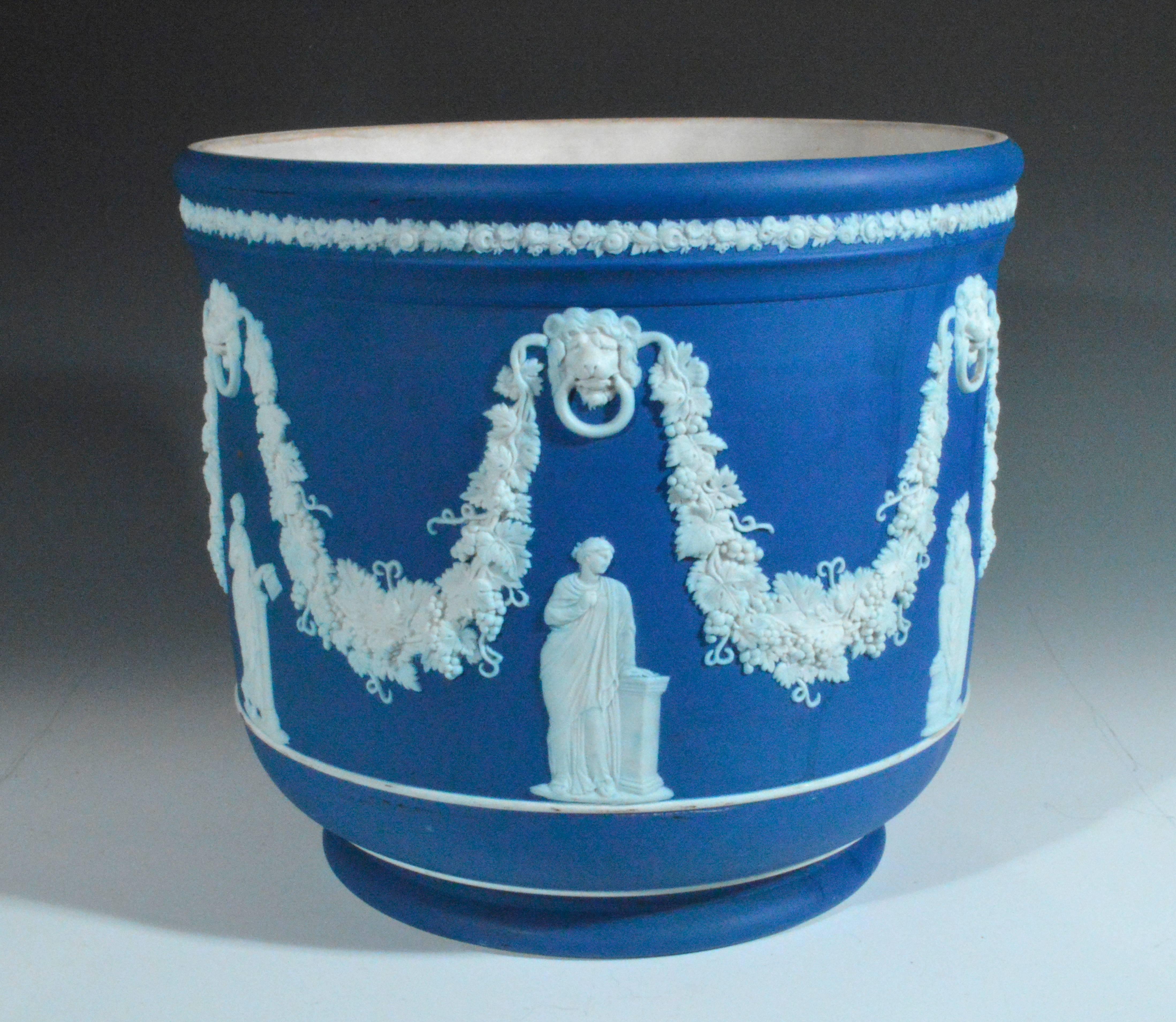 wedgewood pot