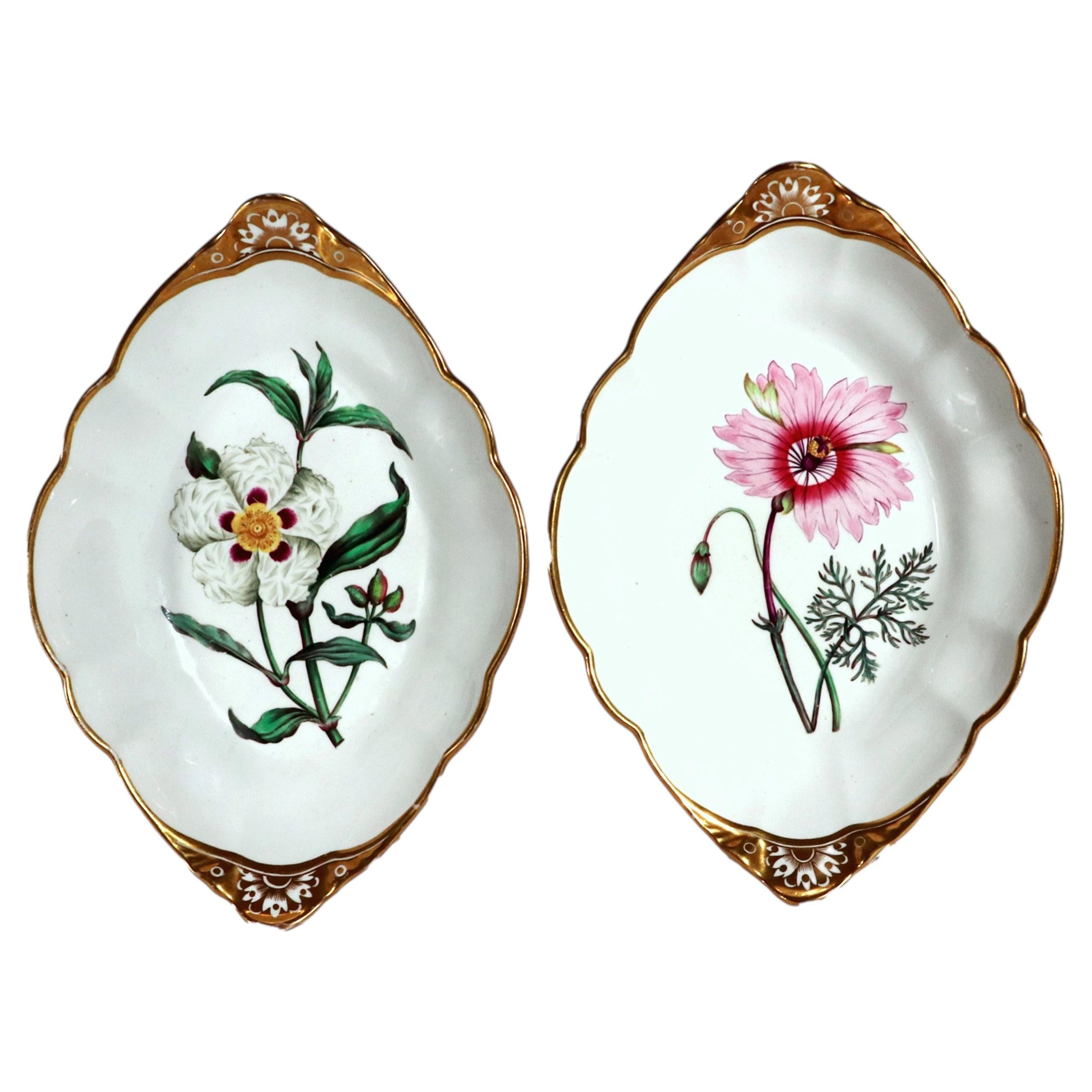 Assiettes « Botanical Named Specimen » en porcelaine Spode, inspirées de William Curtis, lot de deux