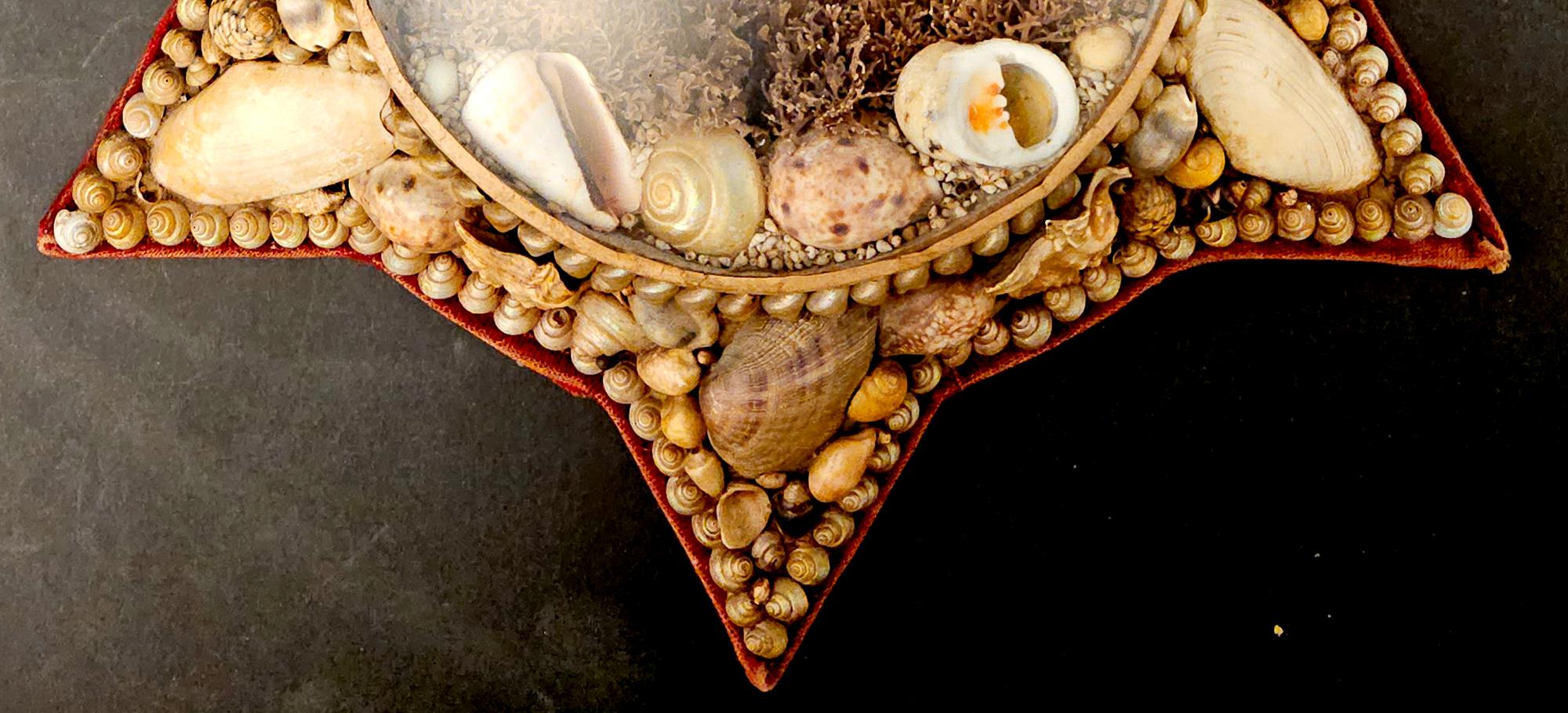 Edwardian Starfish Shaped Shell Valentine- Passing Lighthouse For Sale 2