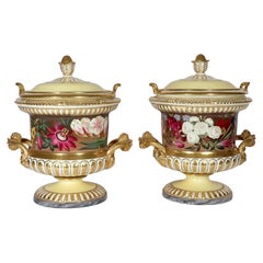 Regency Chamberlain Worcester Regency Botanical Ice Pails and Covers, Signed