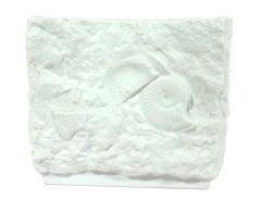 Kaiser Porcelain Fossil Relief Vase, White Bisque with Ammonites, 1970s
