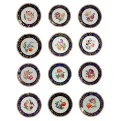 Coalport-Porzellan-Teller mit botanischen Motiven, 12er-Set, John Rose, 1820