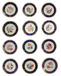 Coalport-Porzellan-Teller mit botanischen Motiven, 12er-Set, John Rose, 1820