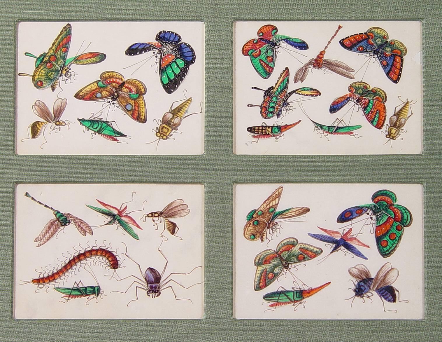 Chinese Export Three China Trade Picture Groupings of 12 Miniature Paintings of Butterflies