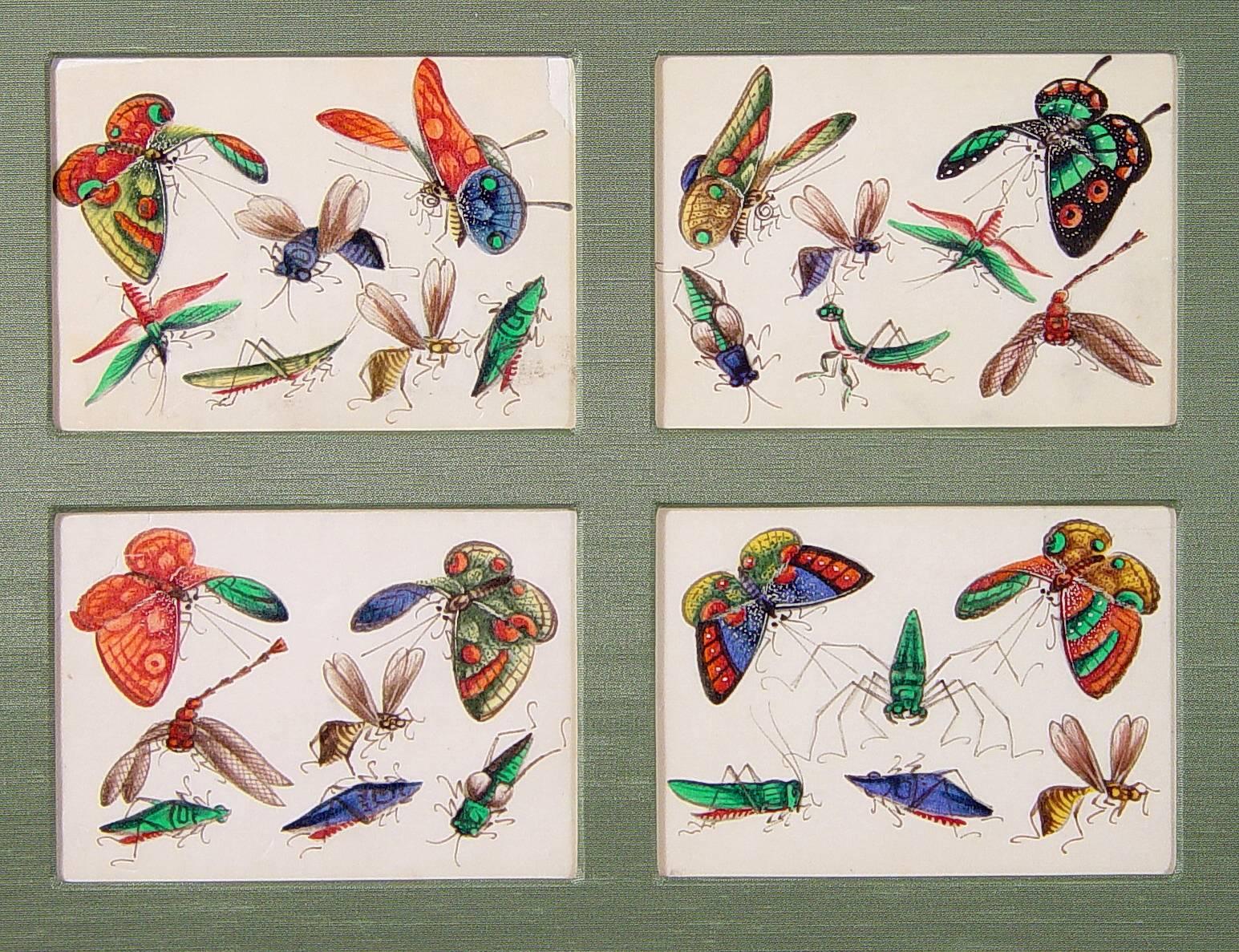Chinese Three China Trade Picture Groupings of 12 Miniature Paintings of Butterflies