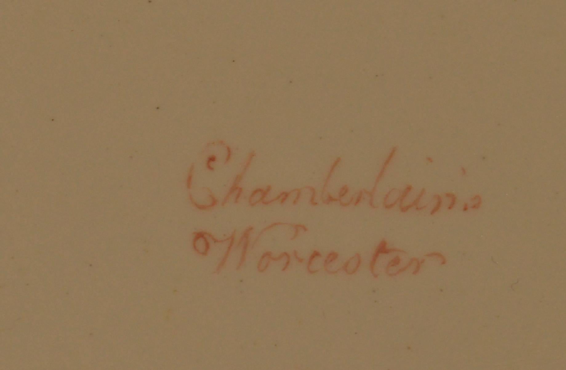 Antique plat ovale en porcelaine anglaise Chamberlain Worcester, grand spécimen botanique, 
vers 1815.

Le grand plat Chamberlain Worcester est peint au centre d'un grand iris jaune et violet avec des feuilles vertes, le bord avec une large bande