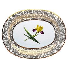 Plat ovale en porcelaine de Worcester « Botanical » de Chamberlain, orné d'un iris, vers 1815