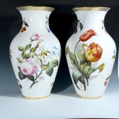 Paris Porcelain Botanical Vases, French, Mid-19th Century