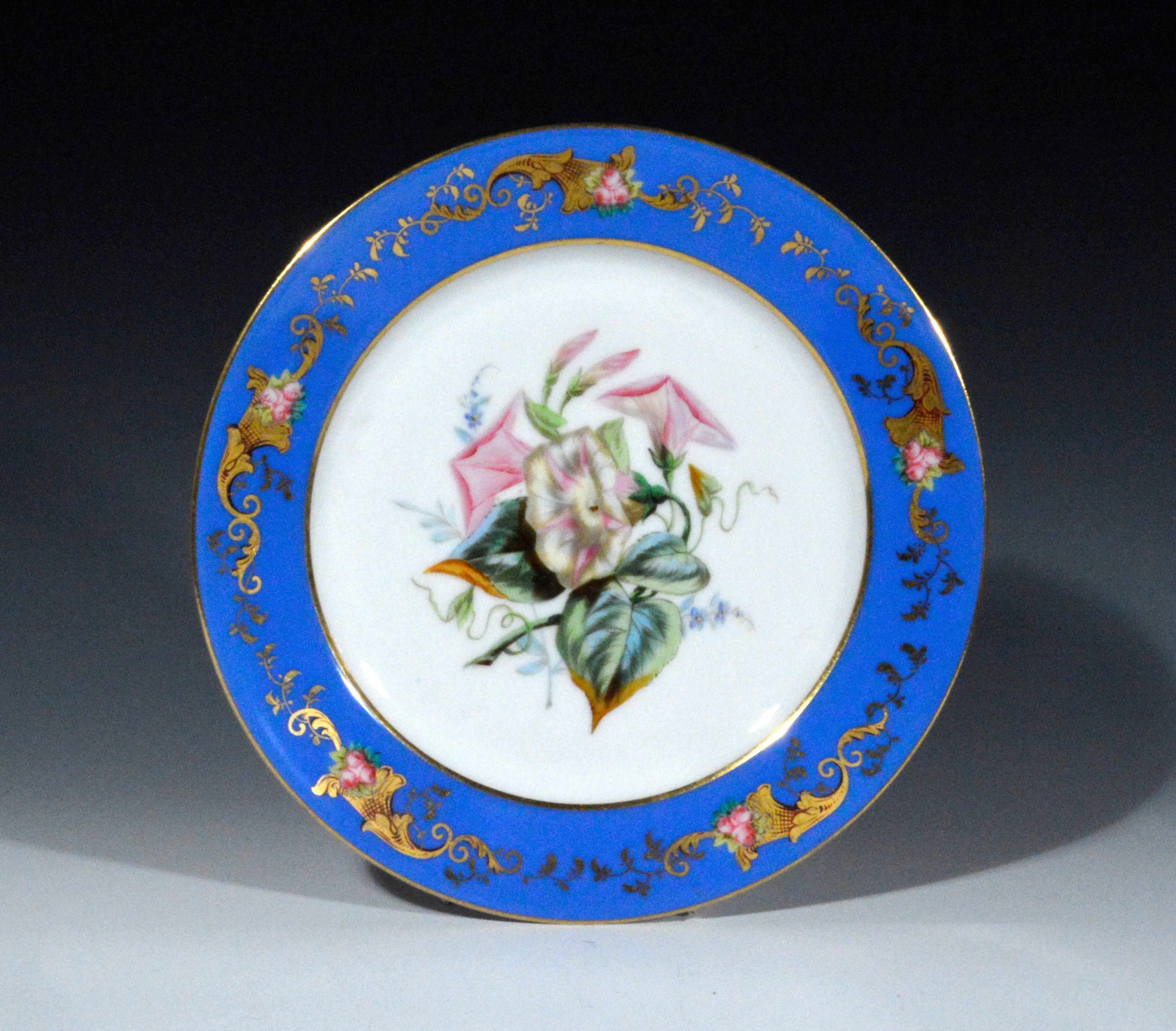 Paris porcelain botanical and fruit-decorated plates, circa 1850.

The six plates have three botanical and three fruit designs in the center well with a light blue ground rim overlaid with a small floral swag.


