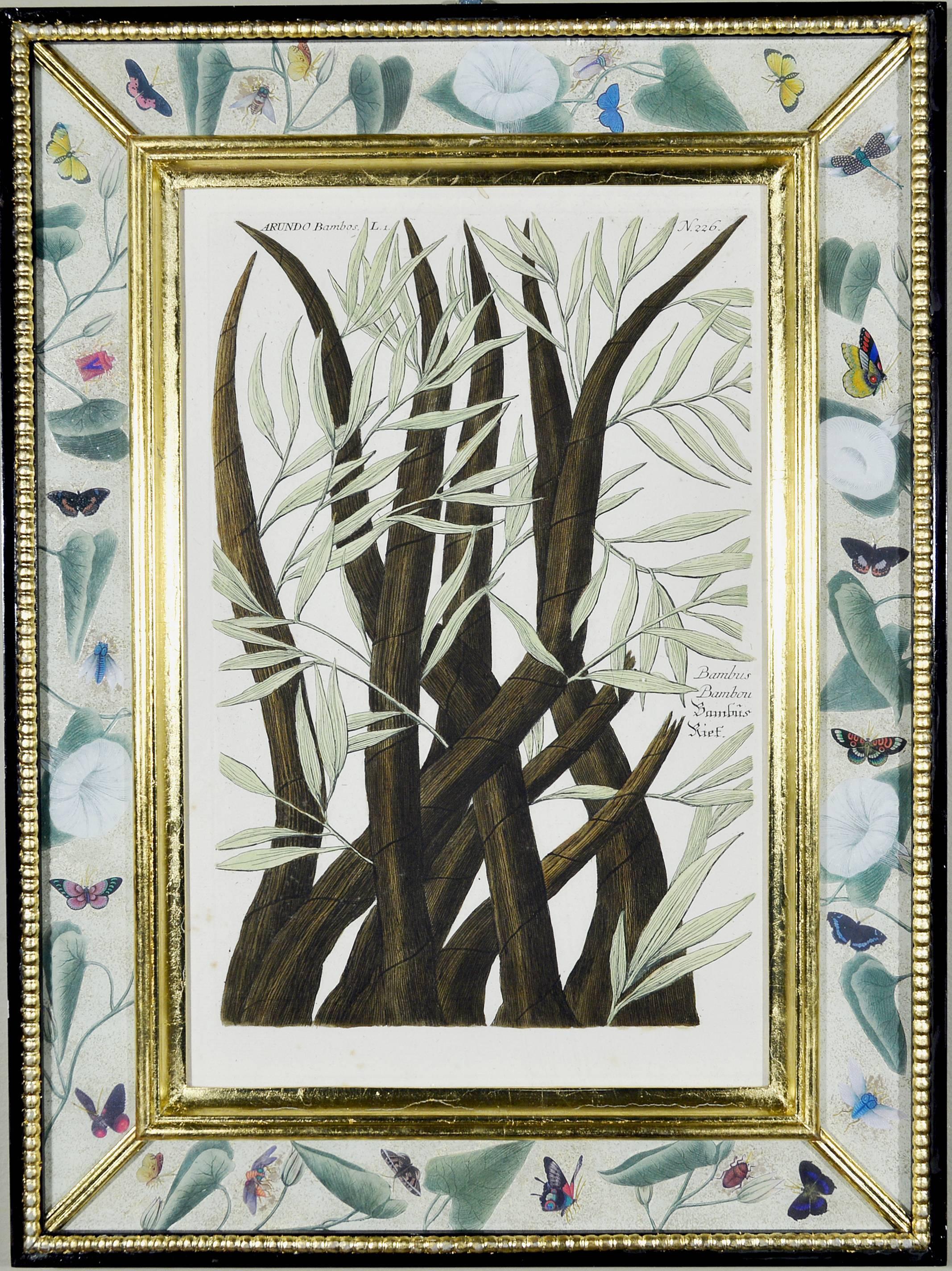 18th Century Johann Wilhelm Weinmann Set of Six Botanical Engravings, circa 1740