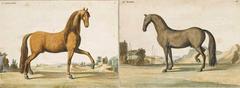 18th Century, Antique Horse Prints by Baron D'Eisenberg- A Set of Four