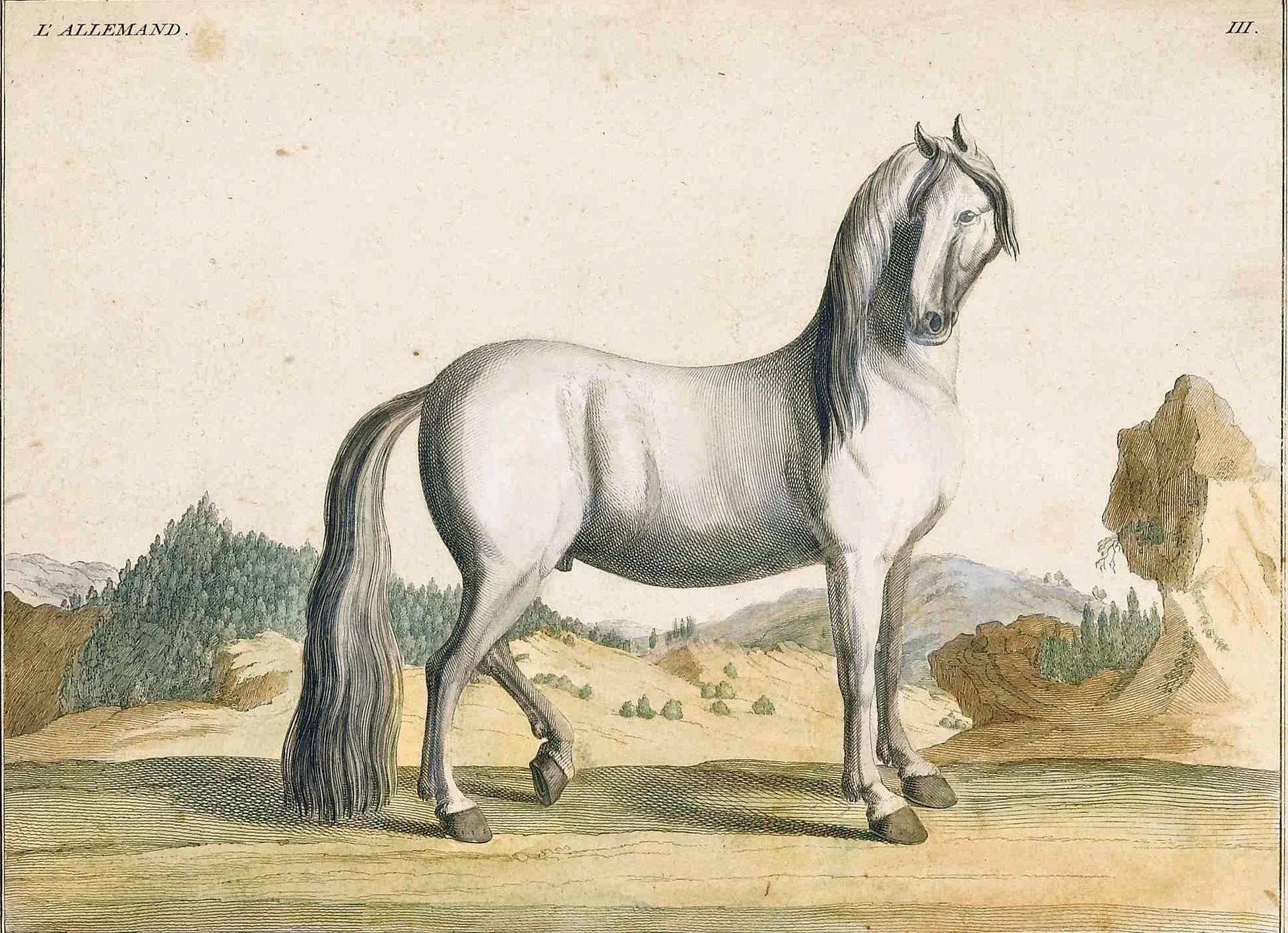 Georgian 18th Century, Antique Horse Prints by Baron D'Eisenberg For Sale