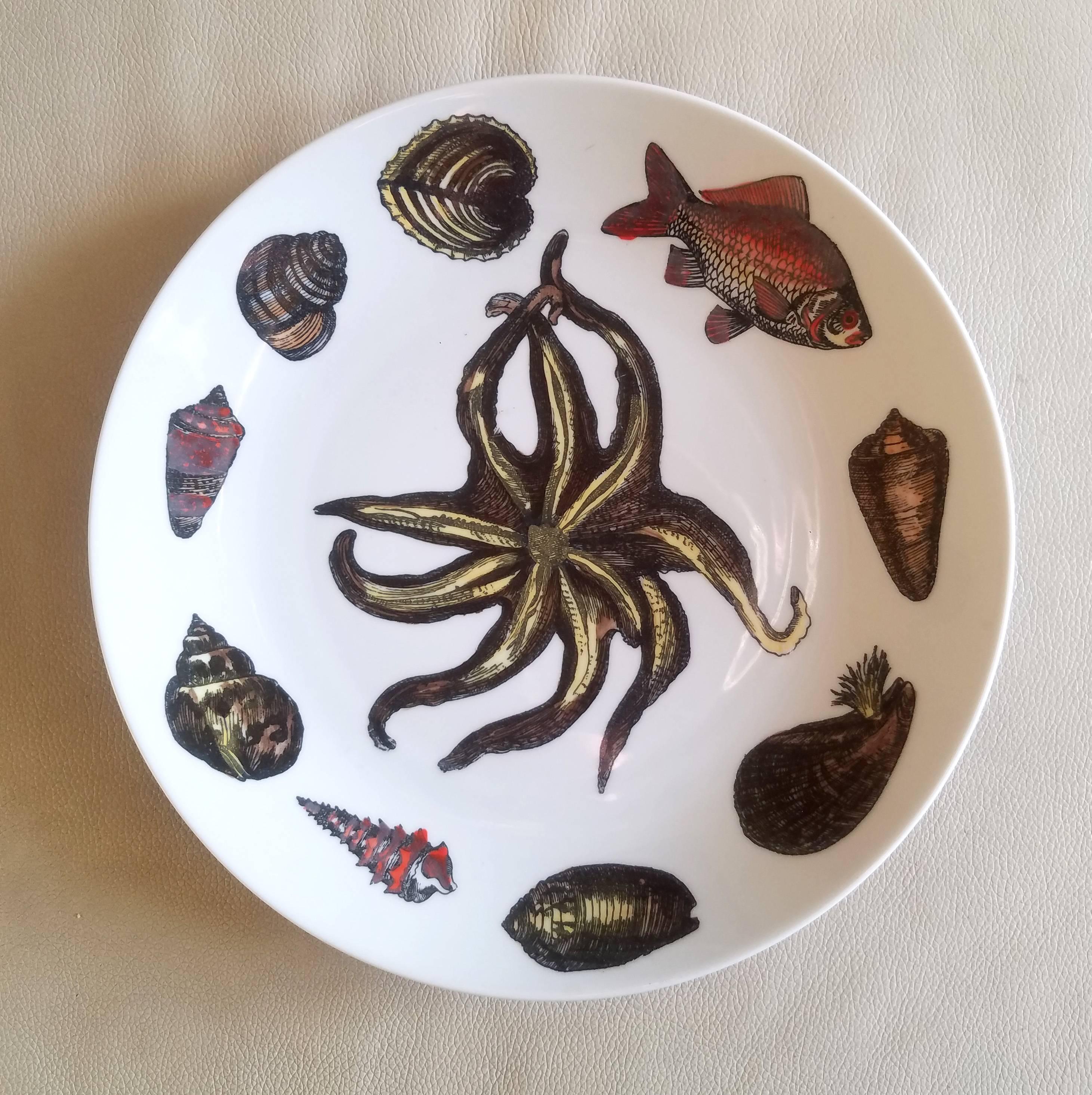 Piero Fornasetti porcelain rare dinner plates decorated with sea anemones, urchins, and sea hells, 
Conchiglie Pattern,
Set of eight (8),
Circa 1960s-early 1970s.

We have additional repeats which can be added to this to make a larger