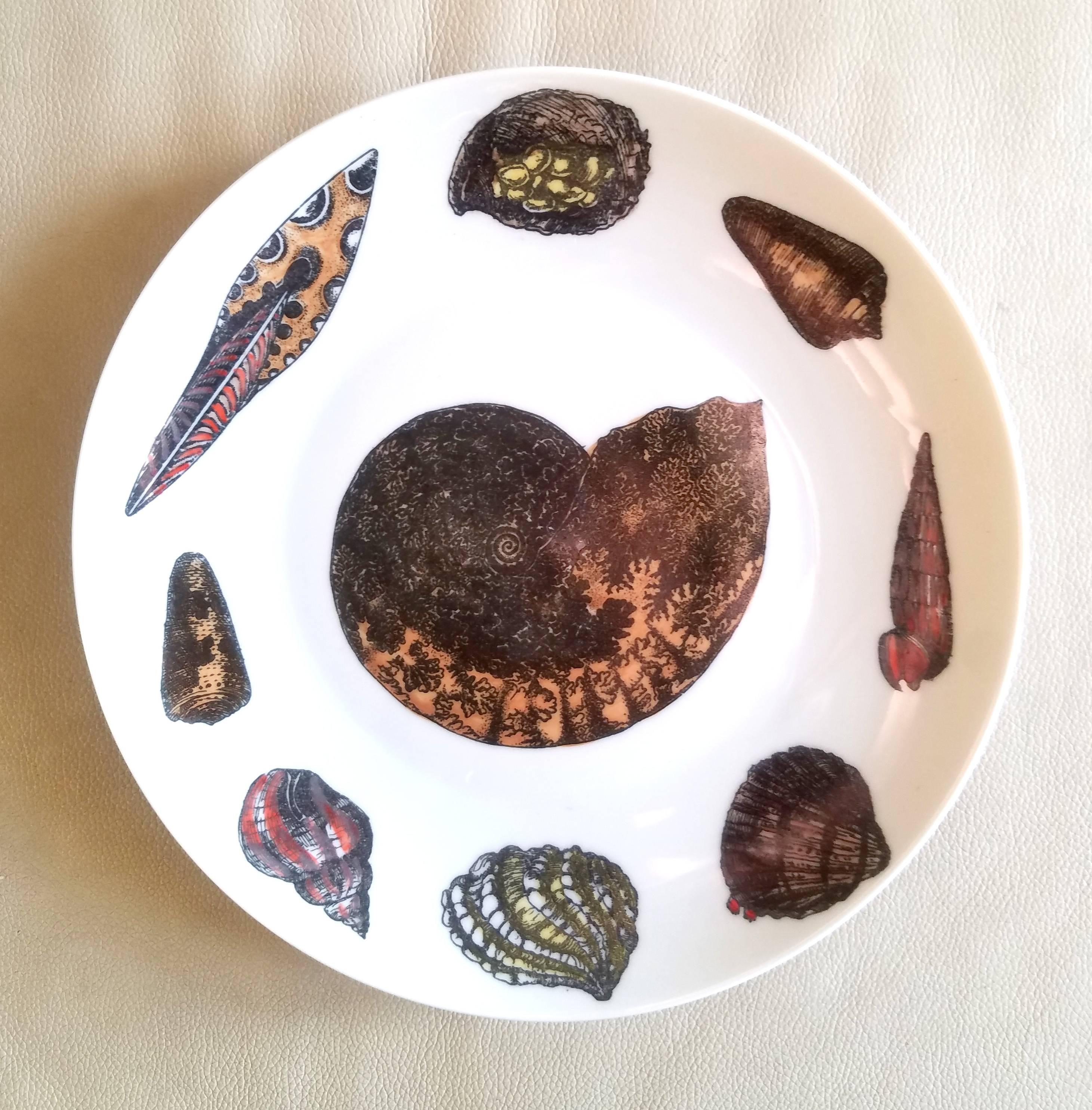 Mid-Century Modern Piero Fornasetti Set of  Dinner Plates Decorated with Urchins and Sea Shells For Sale