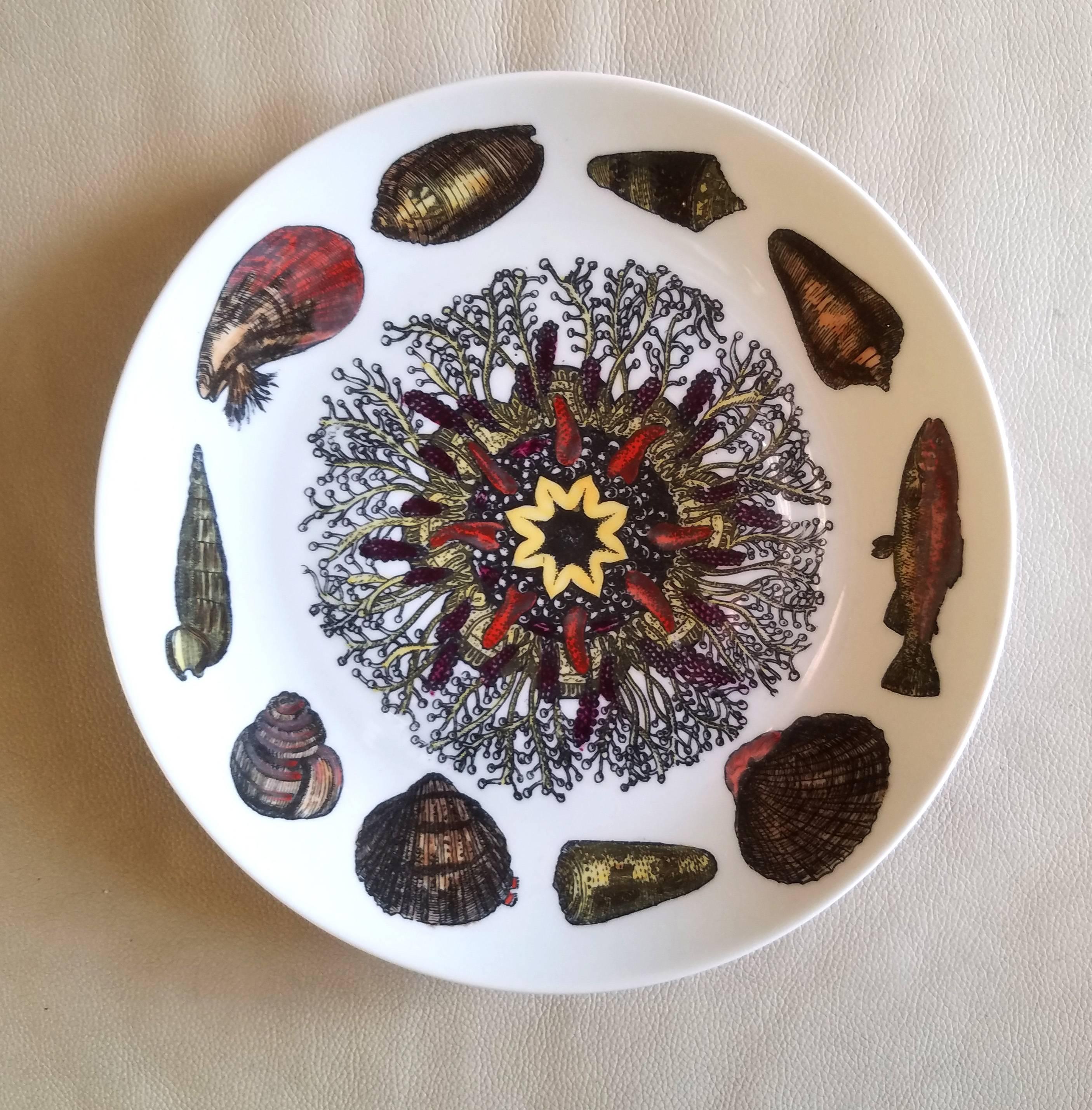 Italian Piero Fornasetti Set of  Dinner Plates Decorated with Urchins and Sea Shells For Sale