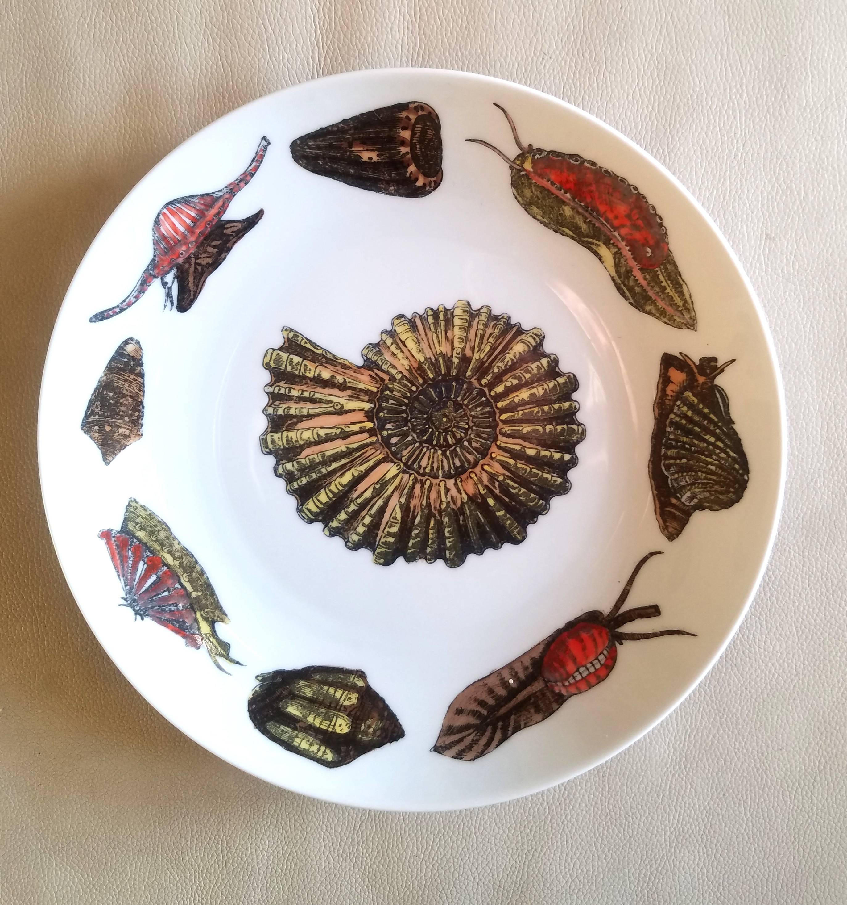 Piero Fornasetti Set of  Dinner Plates Decorated with Urchins and Sea Shells In Good Condition For Sale In Downingtown, PA