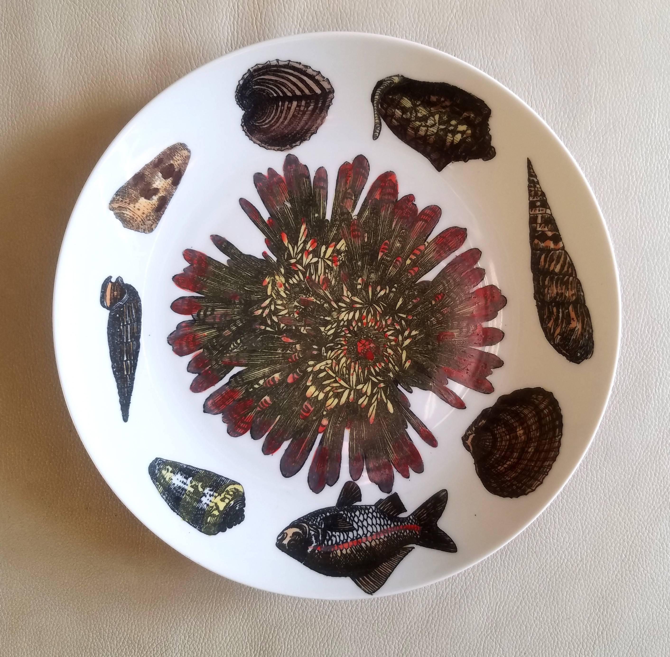 20th Century Piero Fornasetti Set of  Dinner Plates Decorated with Urchins and Sea Shells For Sale