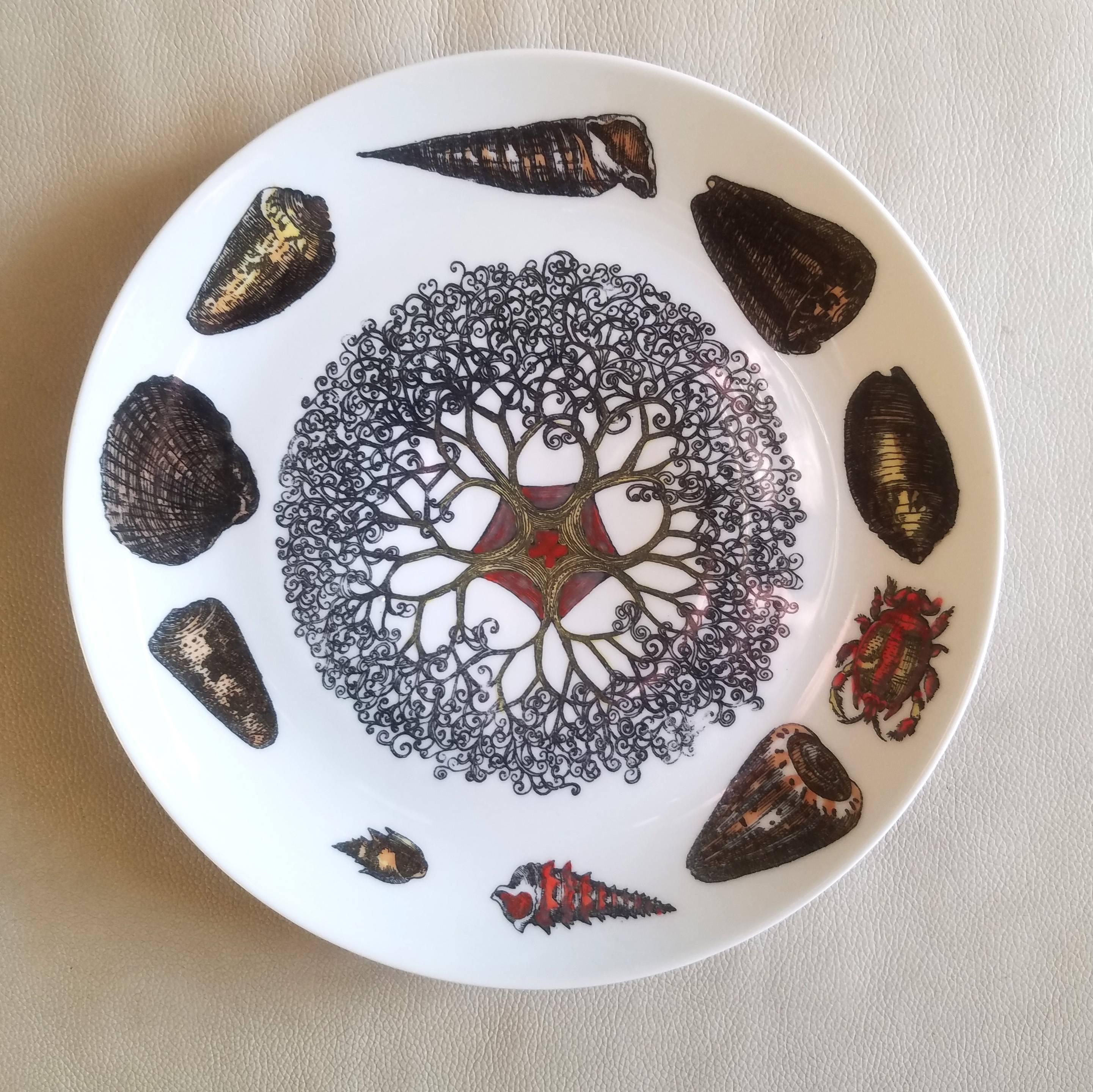 Porcelain Piero Fornasetti Set of  Dinner Plates Decorated with Urchins and Sea Shells For Sale