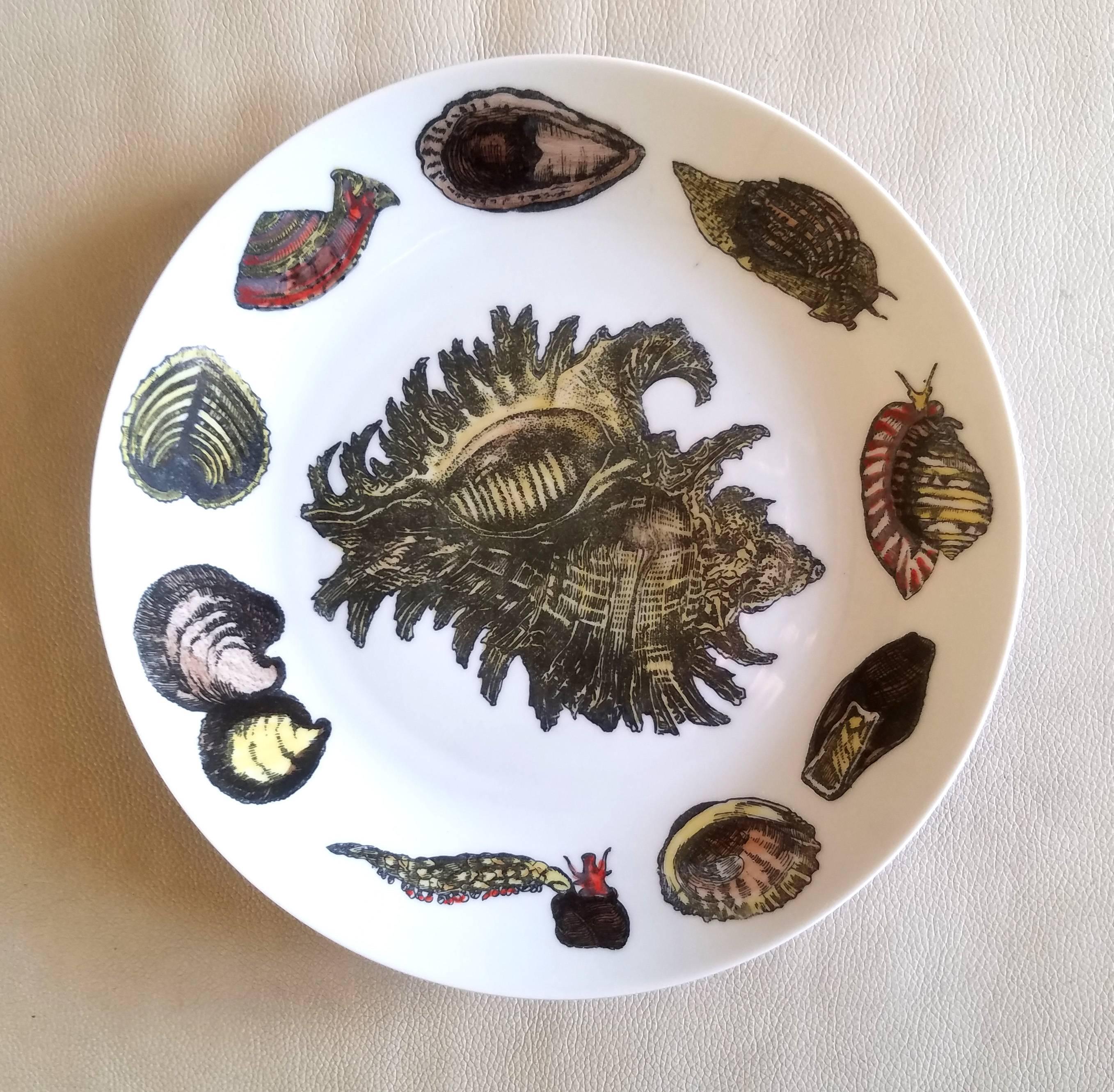 Piero Fornasetti Set of  Dinner Plates Decorated with Urchins and Sea Shells For Sale 1