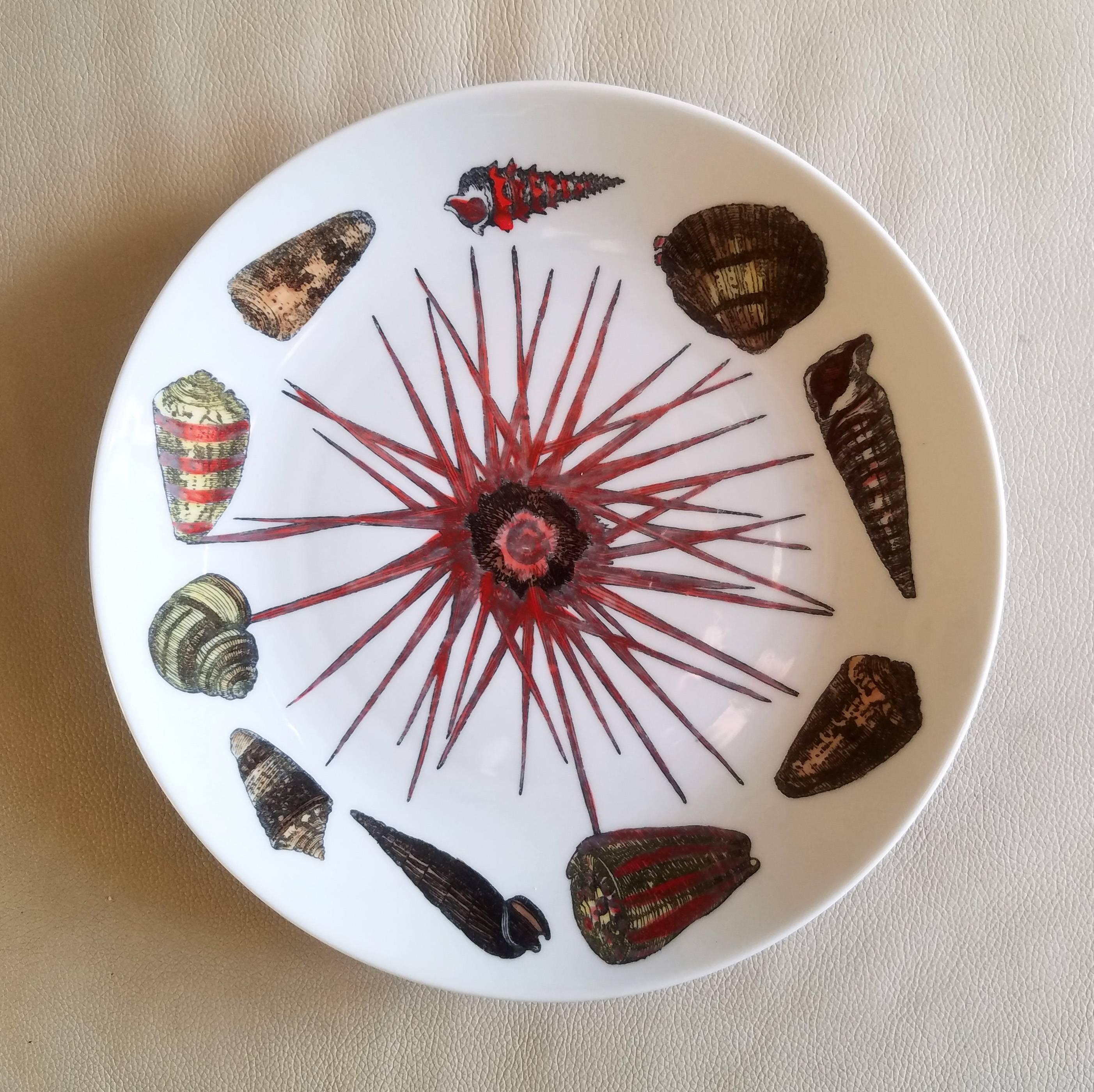 Piero Fornasetti Set of  Dinner Plates Decorated with Urchins and Sea Shells For Sale 2
