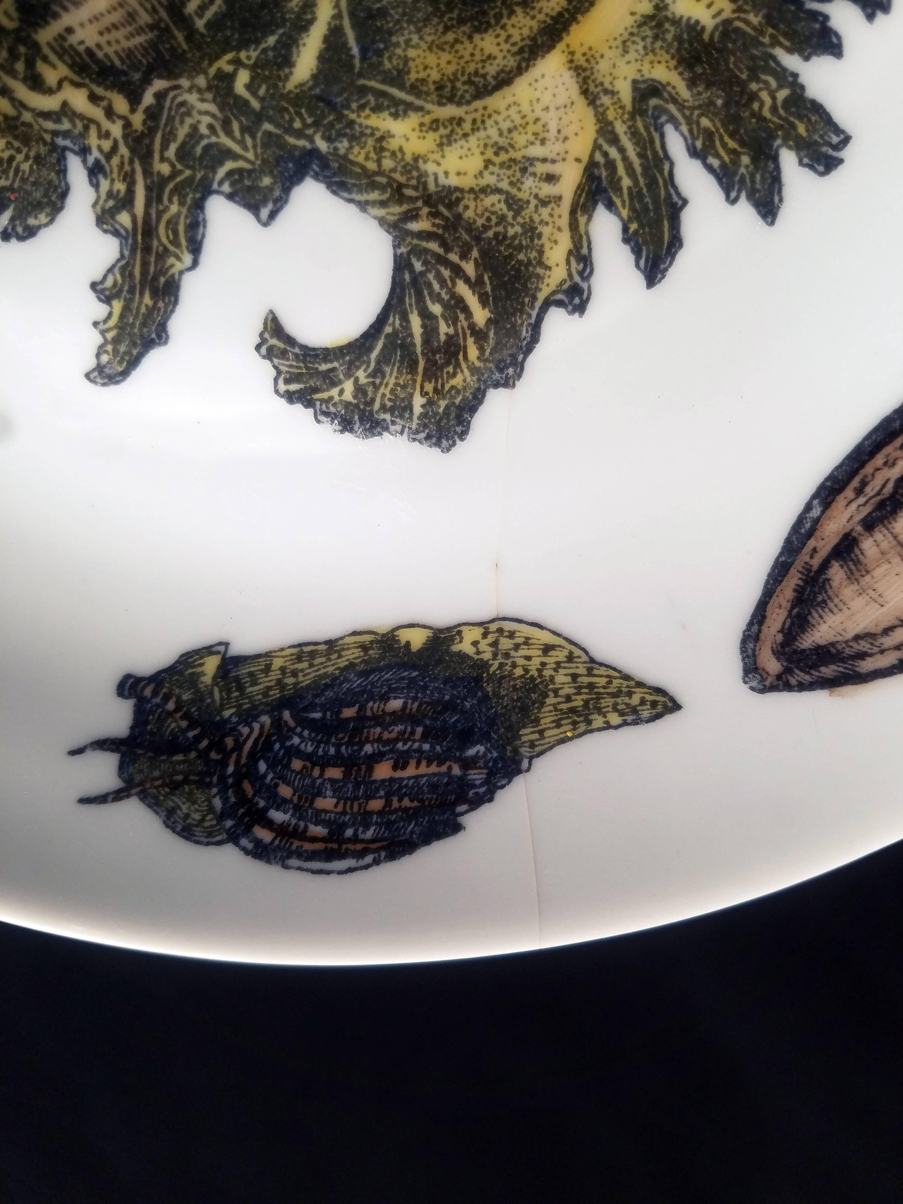 Piero Fornasetti Set of  Dinner Plates Decorated with Urchins and Sea Shells For Sale 3