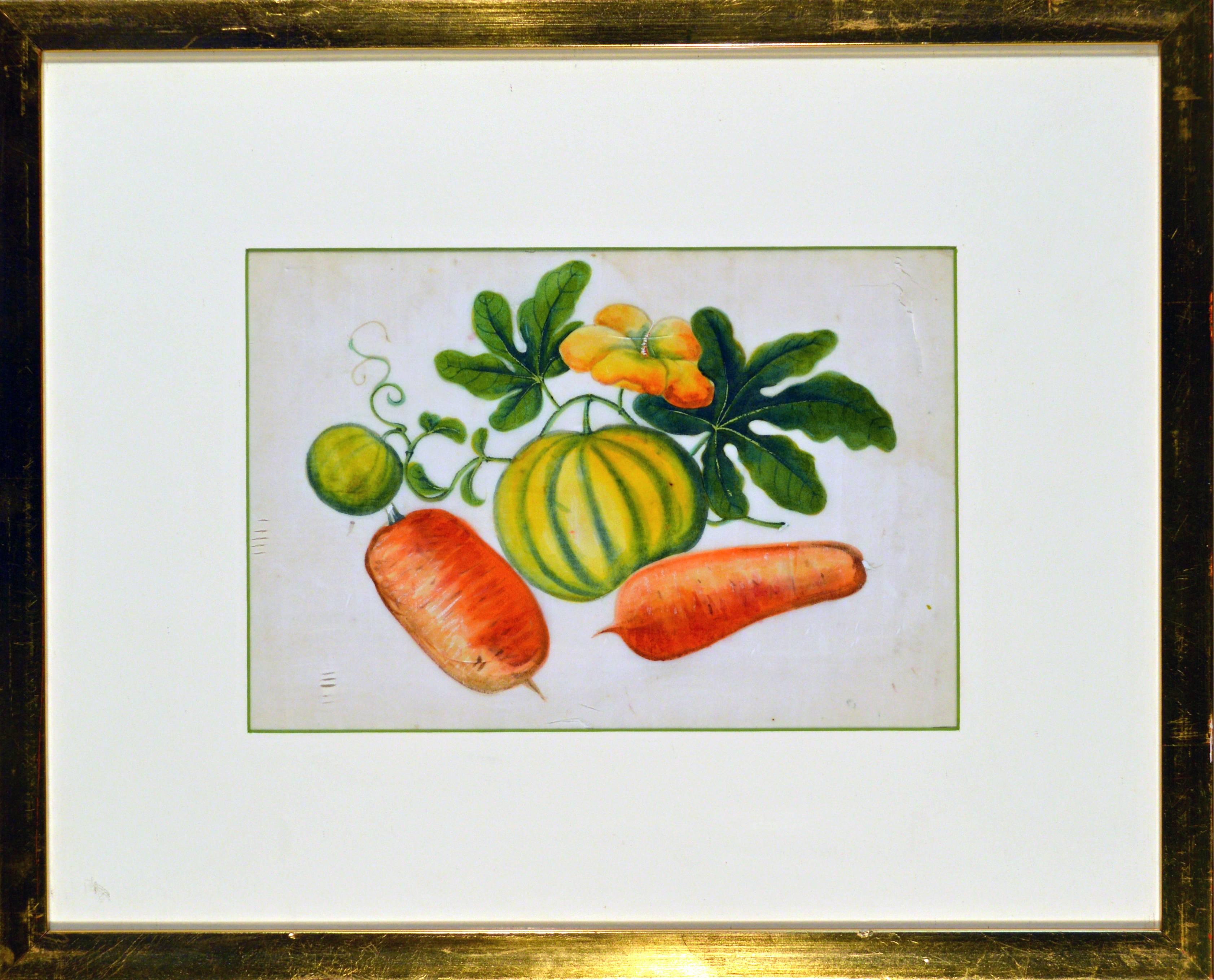 Chinese China Trade Watercolor Paintings of Vegetables, Set of Six