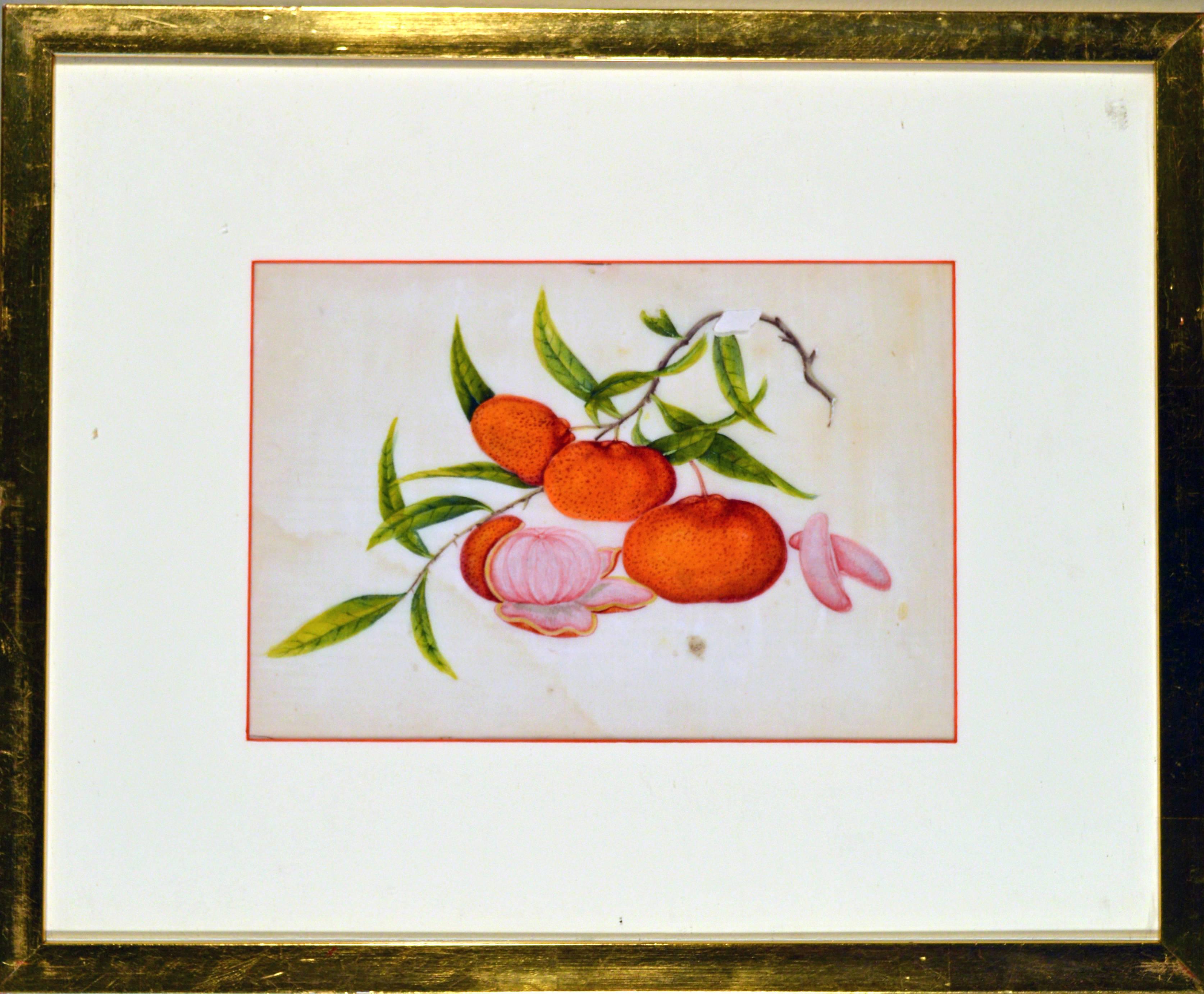 China Trade Watercolor Paintings of Vegetables, Set of Six In Good Condition In Downingtown, PA