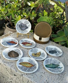 Set of Bucciarelli Milano Sea Shell Ceramic Coasters