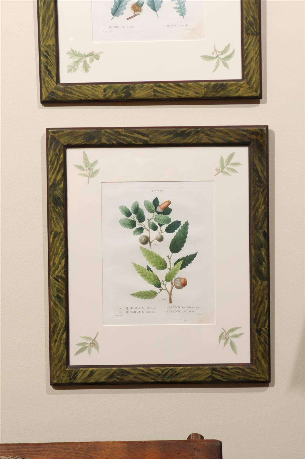 Set of Six, 19th Century French Botanicals In Good Condition For Sale In Atlanta, GA