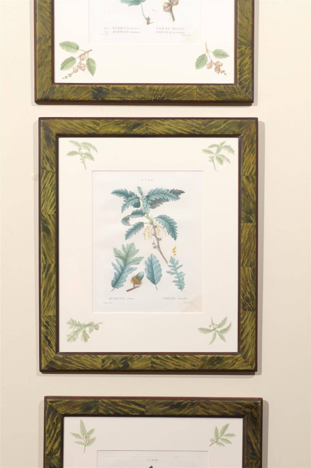 Set of Six, 19th Century French Botanicals For Sale 2