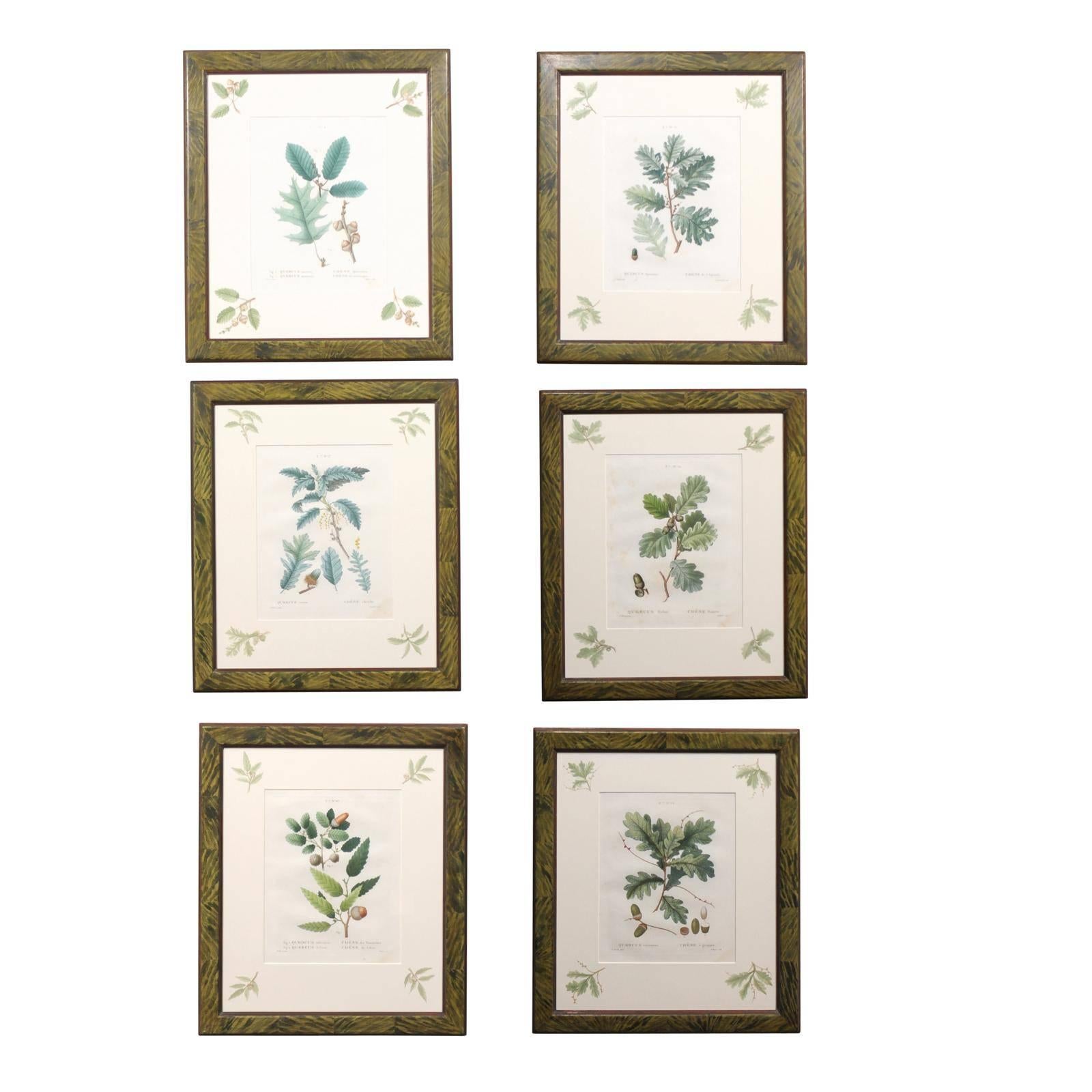 Set of Six, 19th Century French Botanicals For Sale