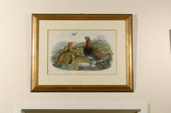 J.Wolf and W. Hart Red Grouse Print