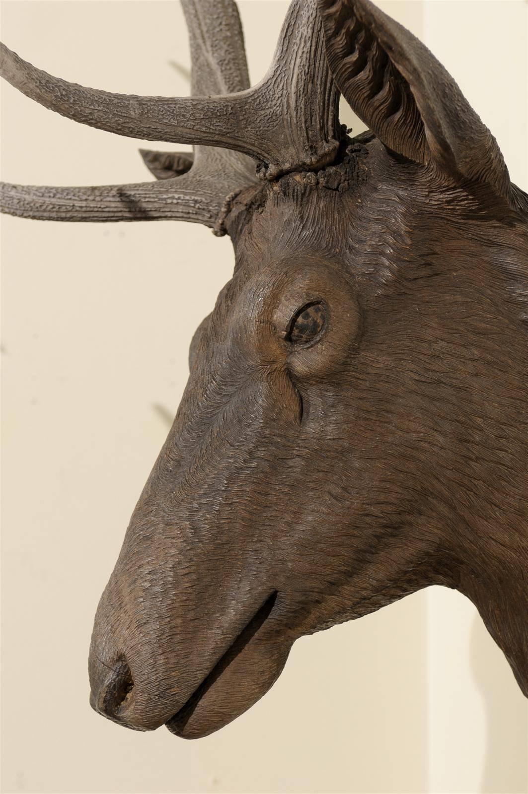 Large Black Forest Stag Head Sculpture, circa 19th c 3