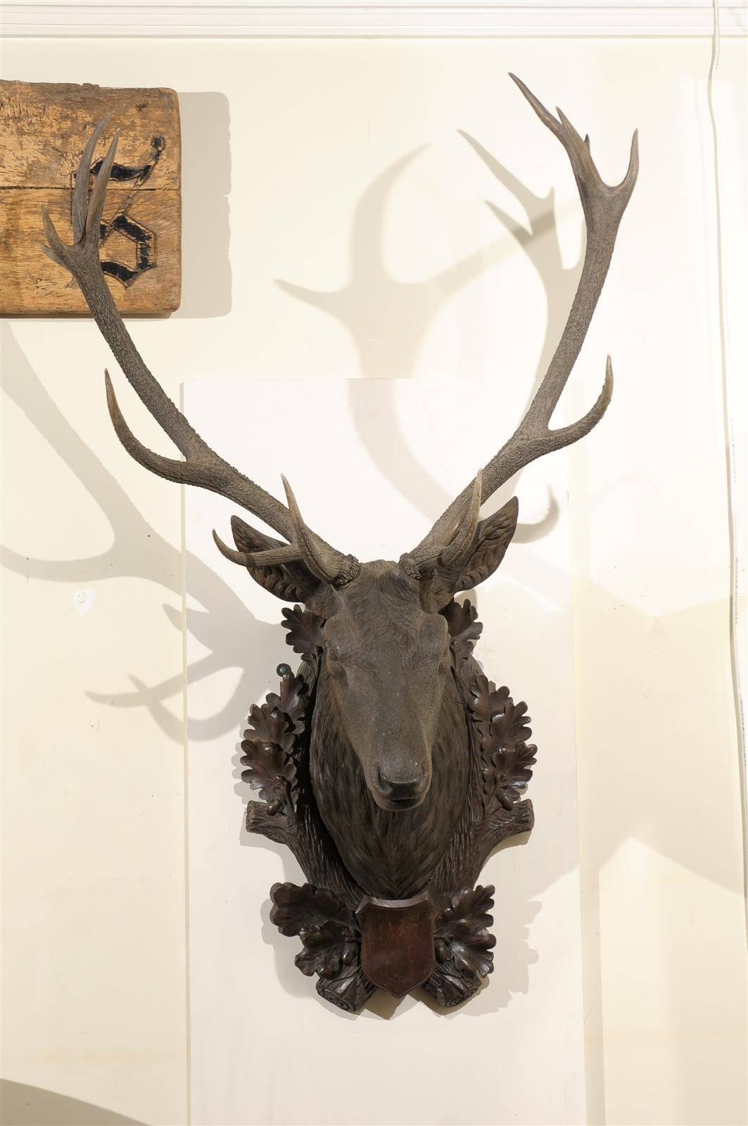 In the 1870s in Switzerland carvers were interested in carving things related to the outdoors such as hunting, skiing and wildlife. A stag head of this size is very rare and hard to come by. The Oak wreath around the neck of the stag represents a