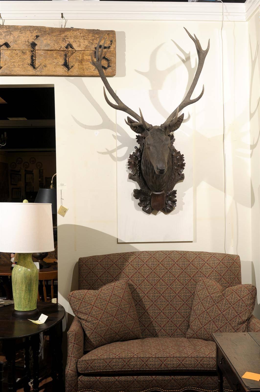 Swiss Large Black Forest Stag Head, circa 19th c
