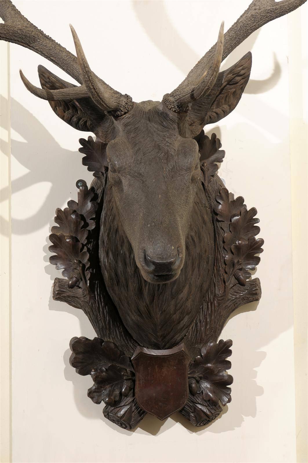 19th Century Large Black Forest Stag Head, circa 19th c